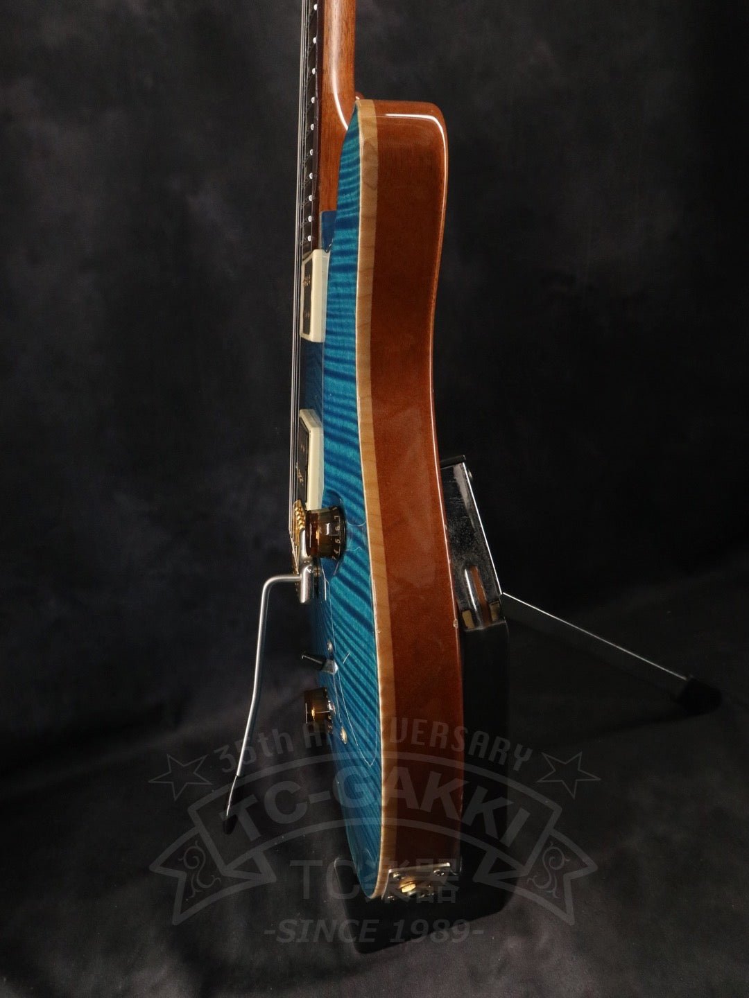 Custom 24 Artist Package - TC楽器 - TCGAKKI