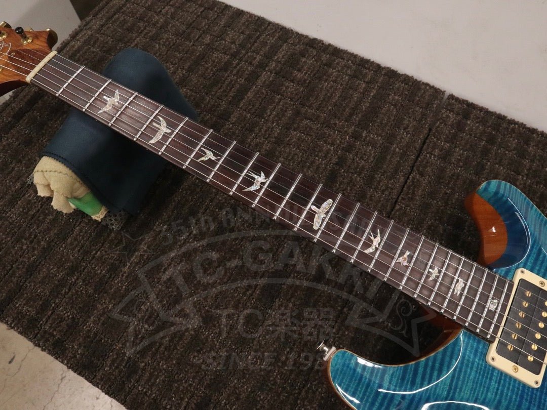Custom 24 Artist Package