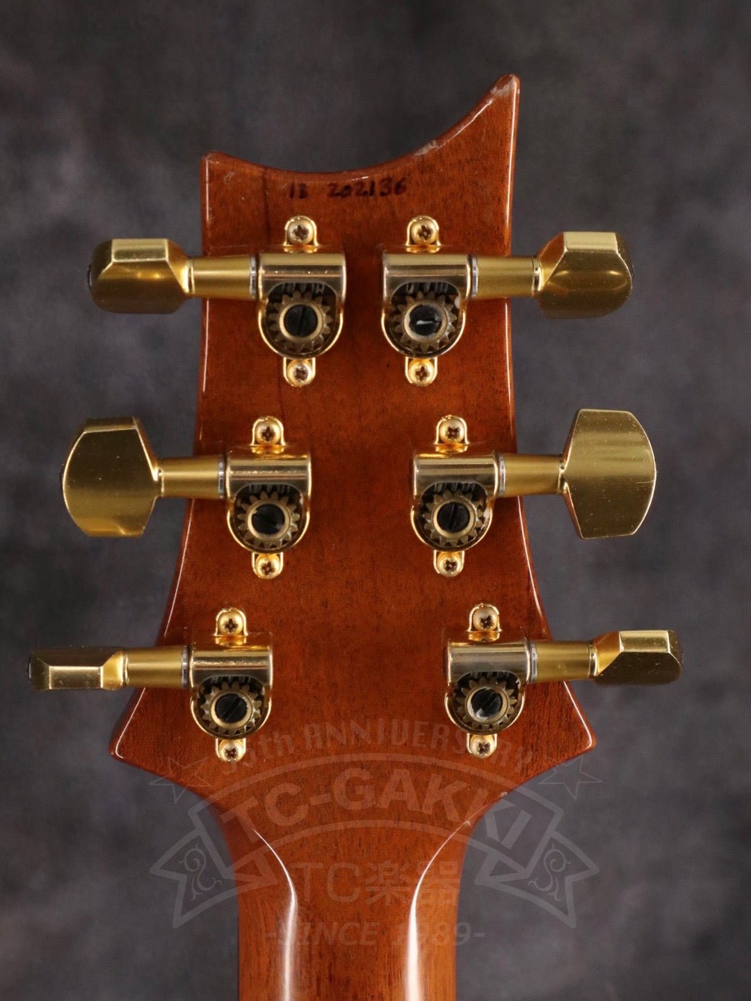 Custom 24 Artist Package - TC楽器 - TCGAKKI