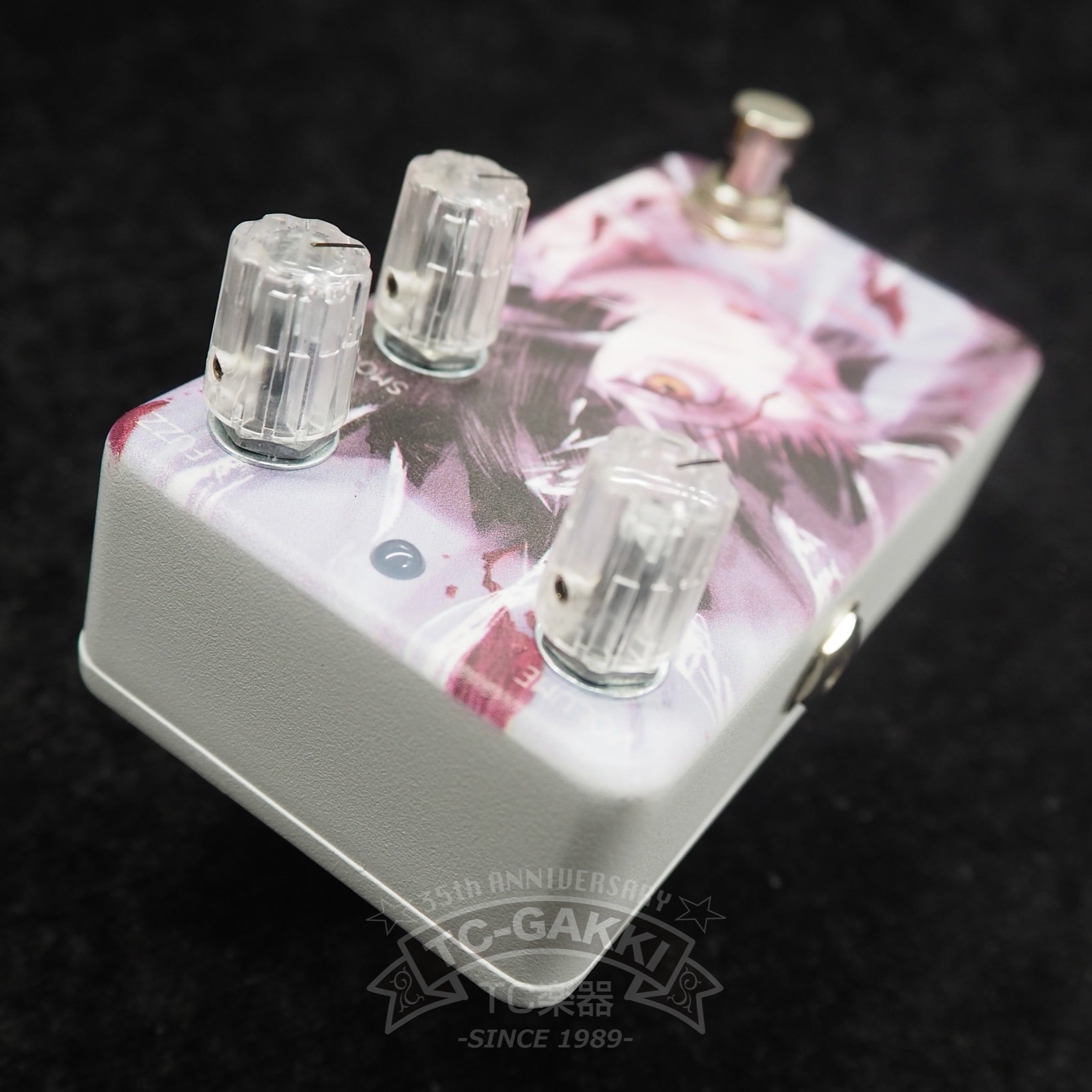 Custom Illustrated 046 Sunday Afternoon Is Infinity Bender by 100 Years "Untitled" - TC楽器 - TCGAKKI