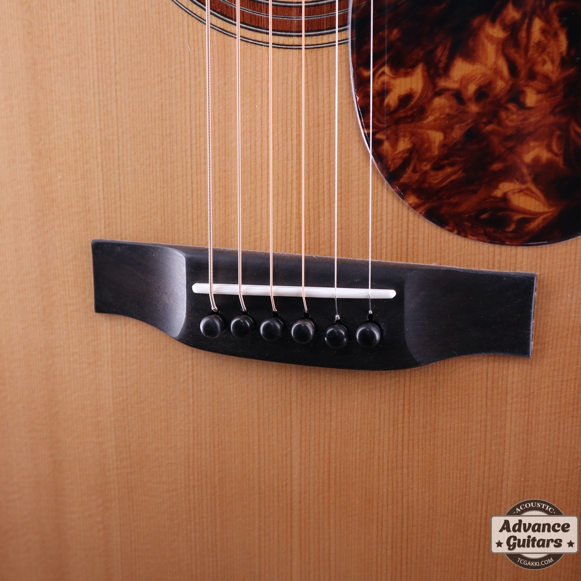 K.Yairi Custom Shop BM-90C 道前暁伸 [新品商品] - TC楽器 - TCGAKKI
