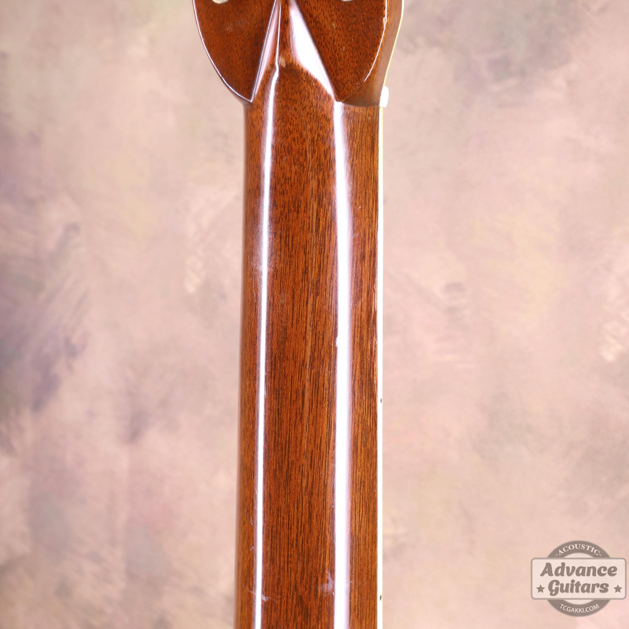 D - 45 Shaded - TC楽器 - TCGAKKI