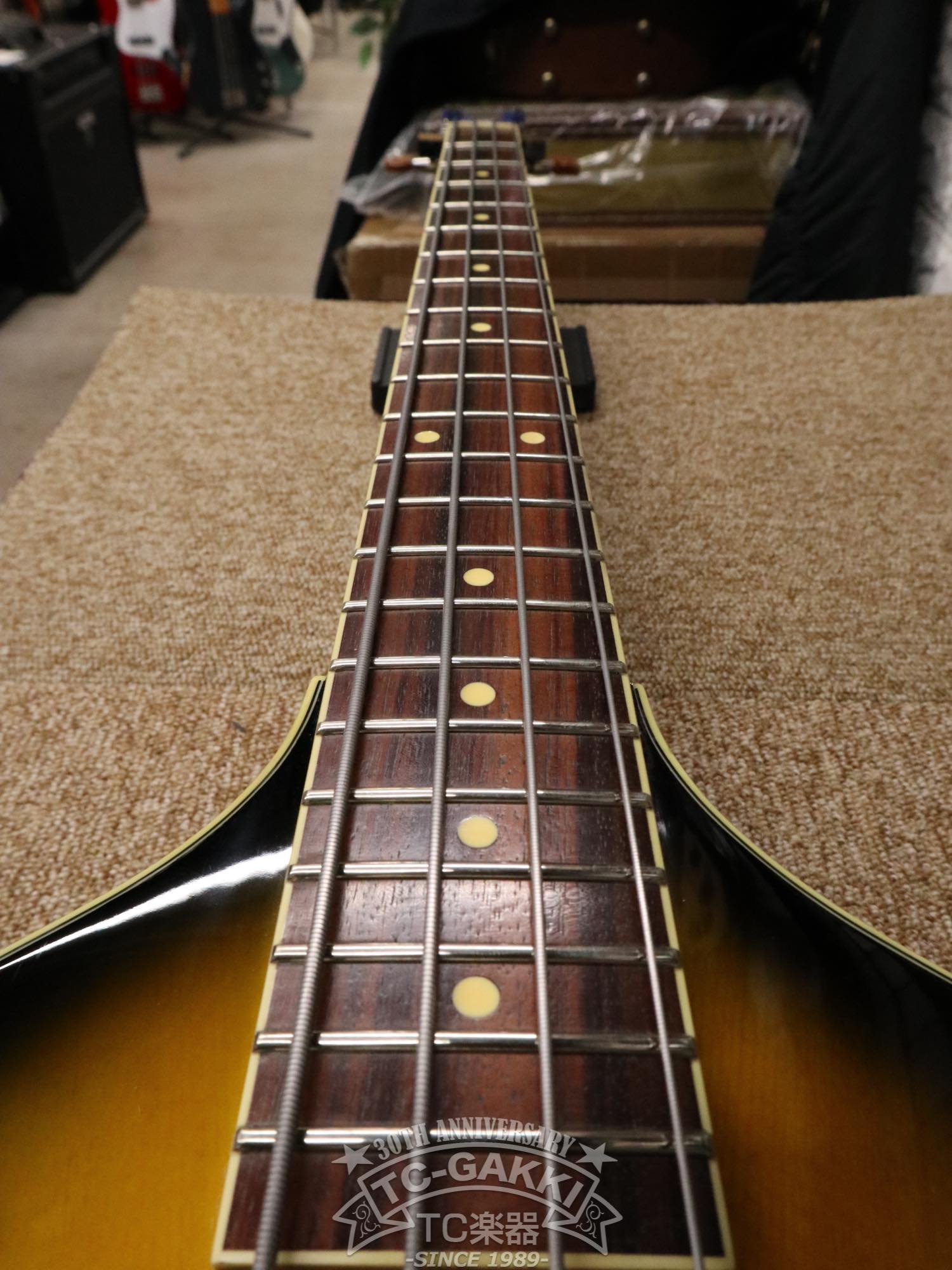 DBV - 2T Violin Bass - TC楽器 - TCGAKKI