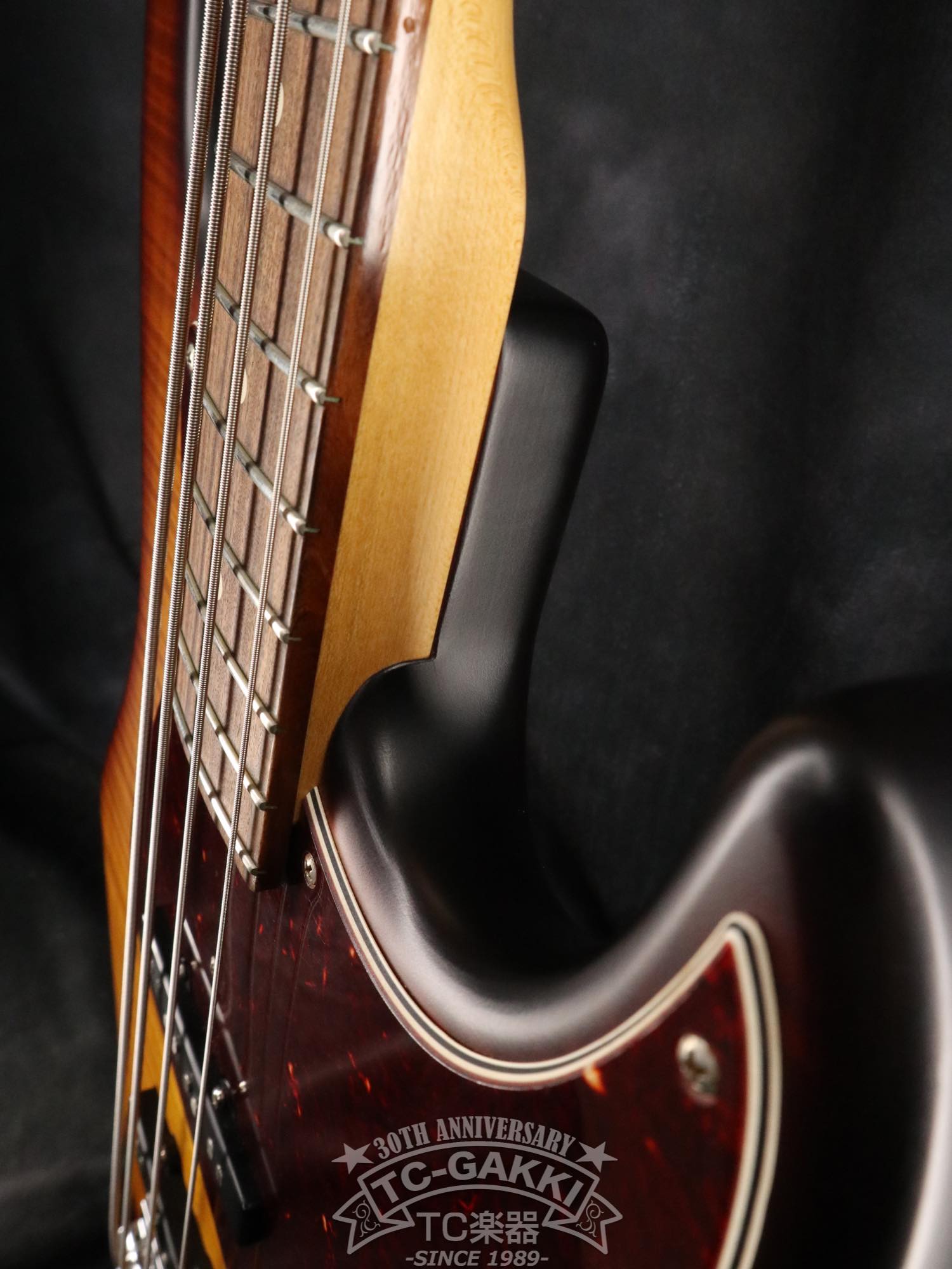 Deluxe Satin 4 Strings J - TC楽器 - TCGAKKI