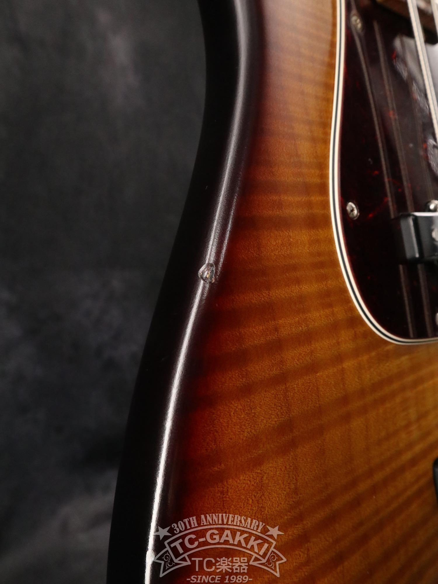 Deluxe Satin 4 Strings J - TC楽器 - TCGAKKI