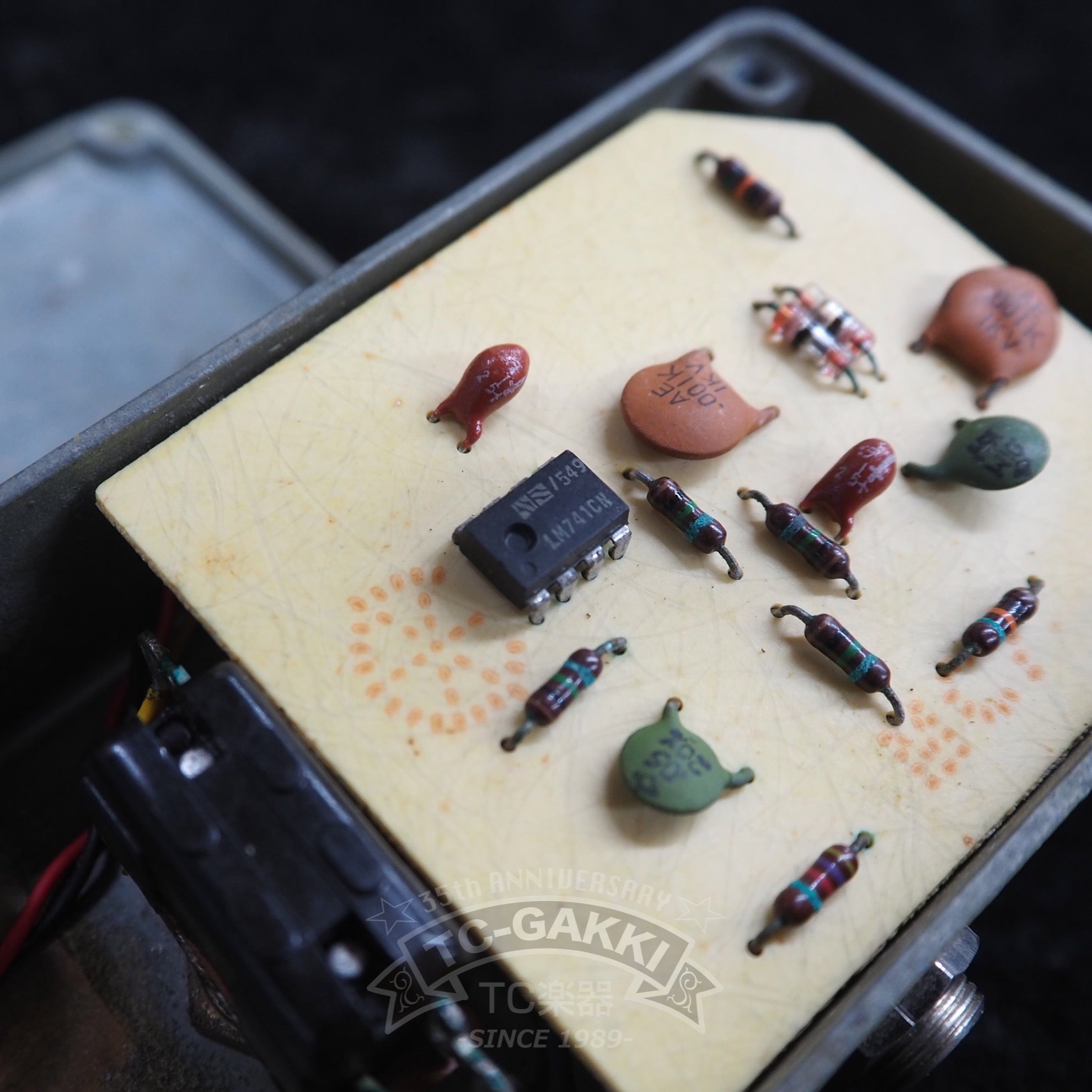 Distortion+ "Script Logo" - TC楽器 - TCGAKKI