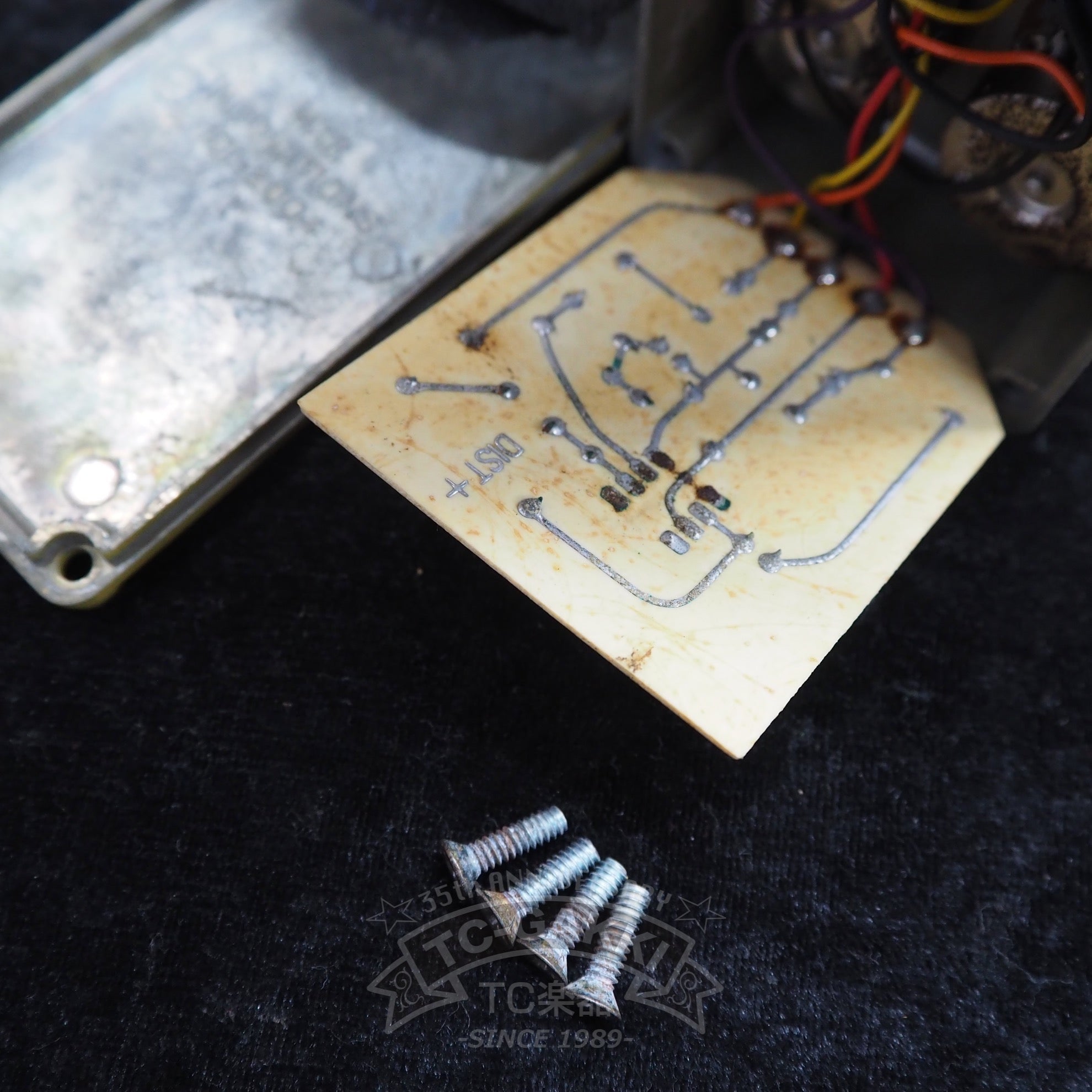 Distortion+ "Script Logo" - TC楽器 - TCGAKKI