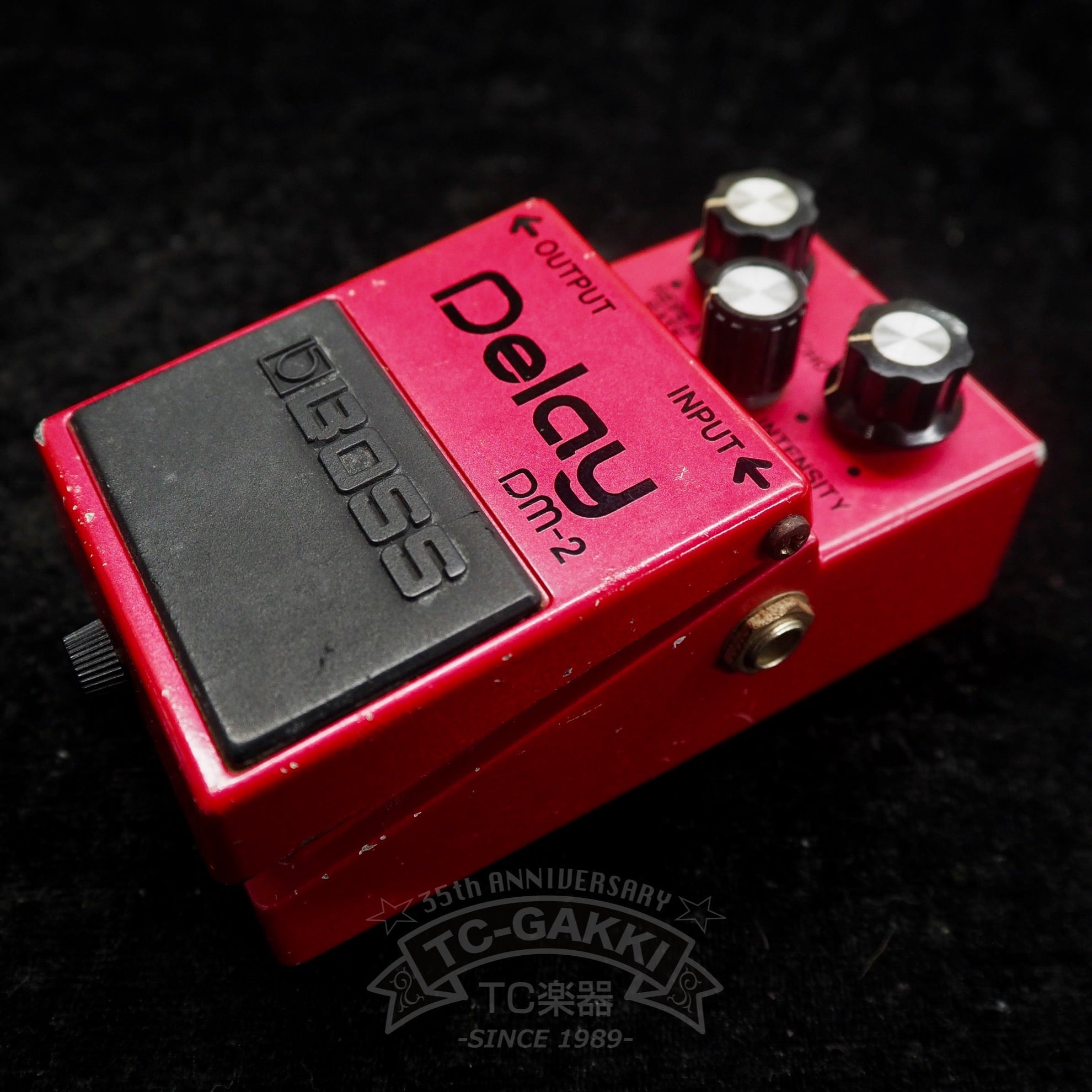 DM - 2 Delay (Early Ver./JAPAN/MN3005+MN3101) - TC楽器 - TCGAKKI