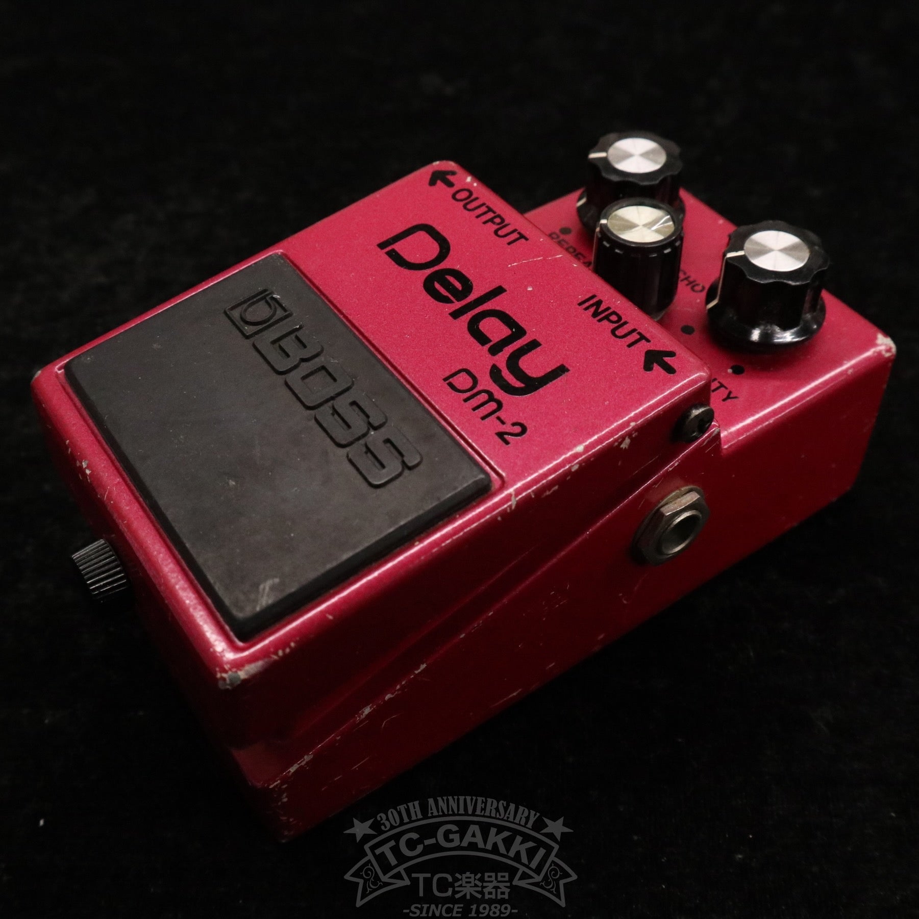 DM - 2 Delay (Early Ver./MN3005+MN3101) - TC楽器 - TCGAKKI