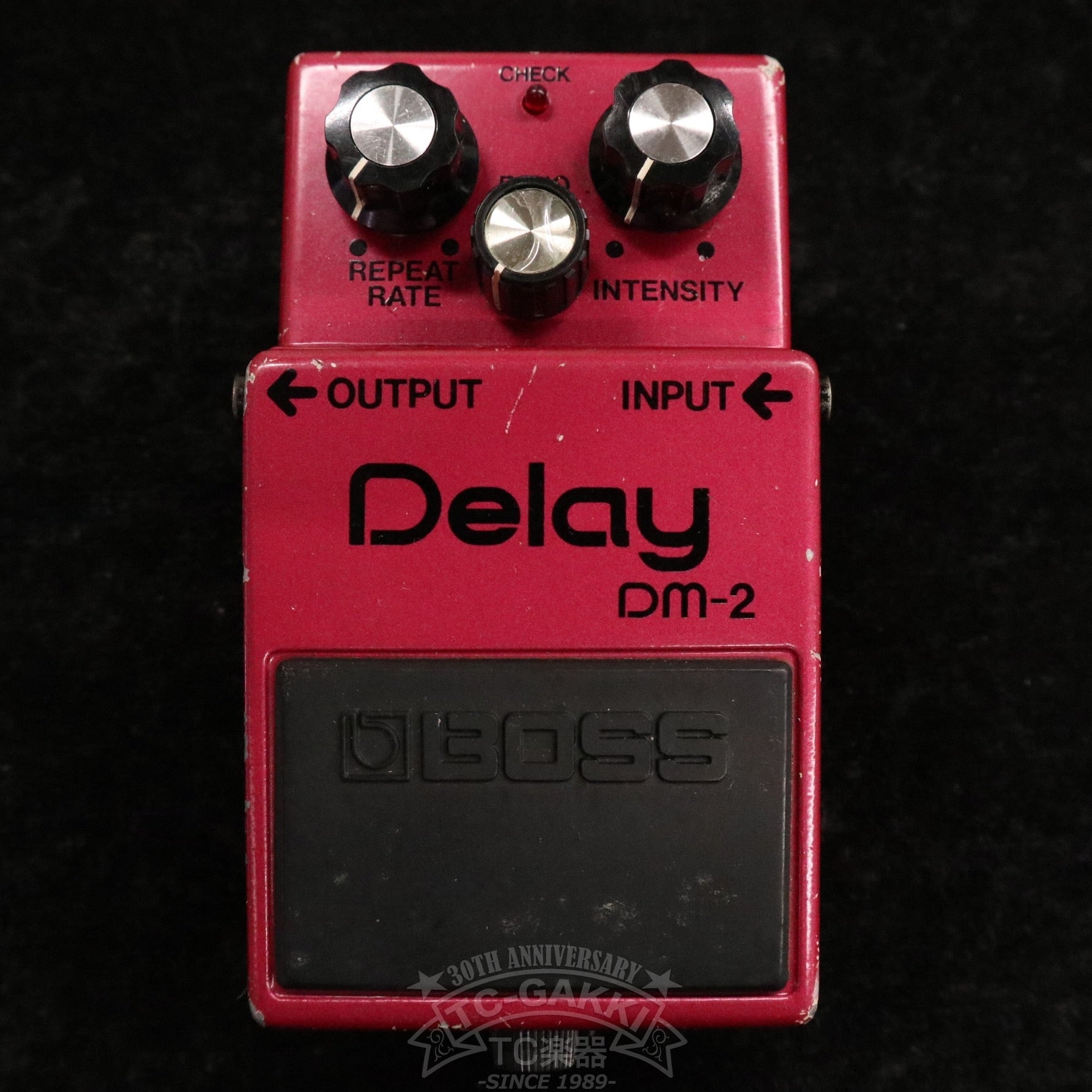 DM - 2 Delay (Early Ver./MN3005+MN3101) - TC楽器 - TCGAKKI