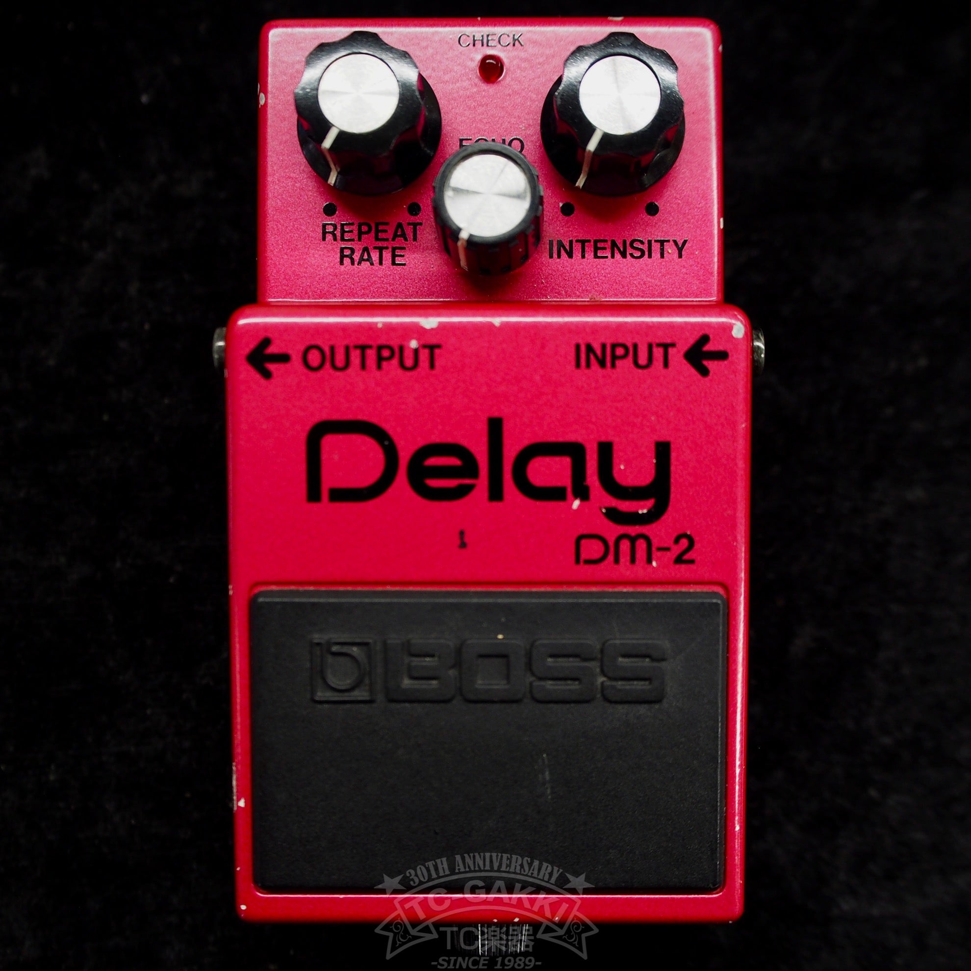 DM - 2 Delay (JAPAN) - TC楽器 - TCGAKKI