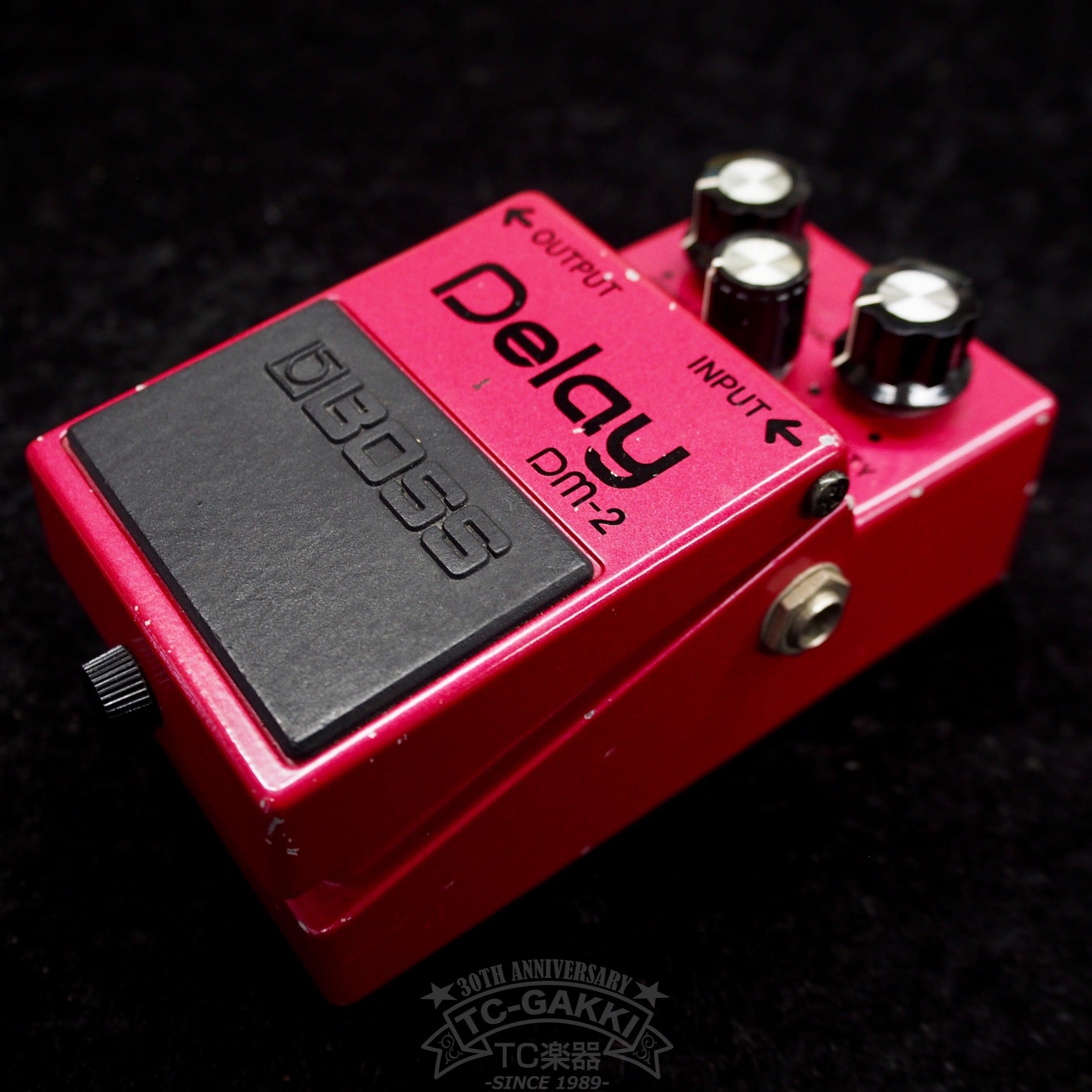 DM - 2 Delay (JAPAN) - TC楽器 - TCGAKKI