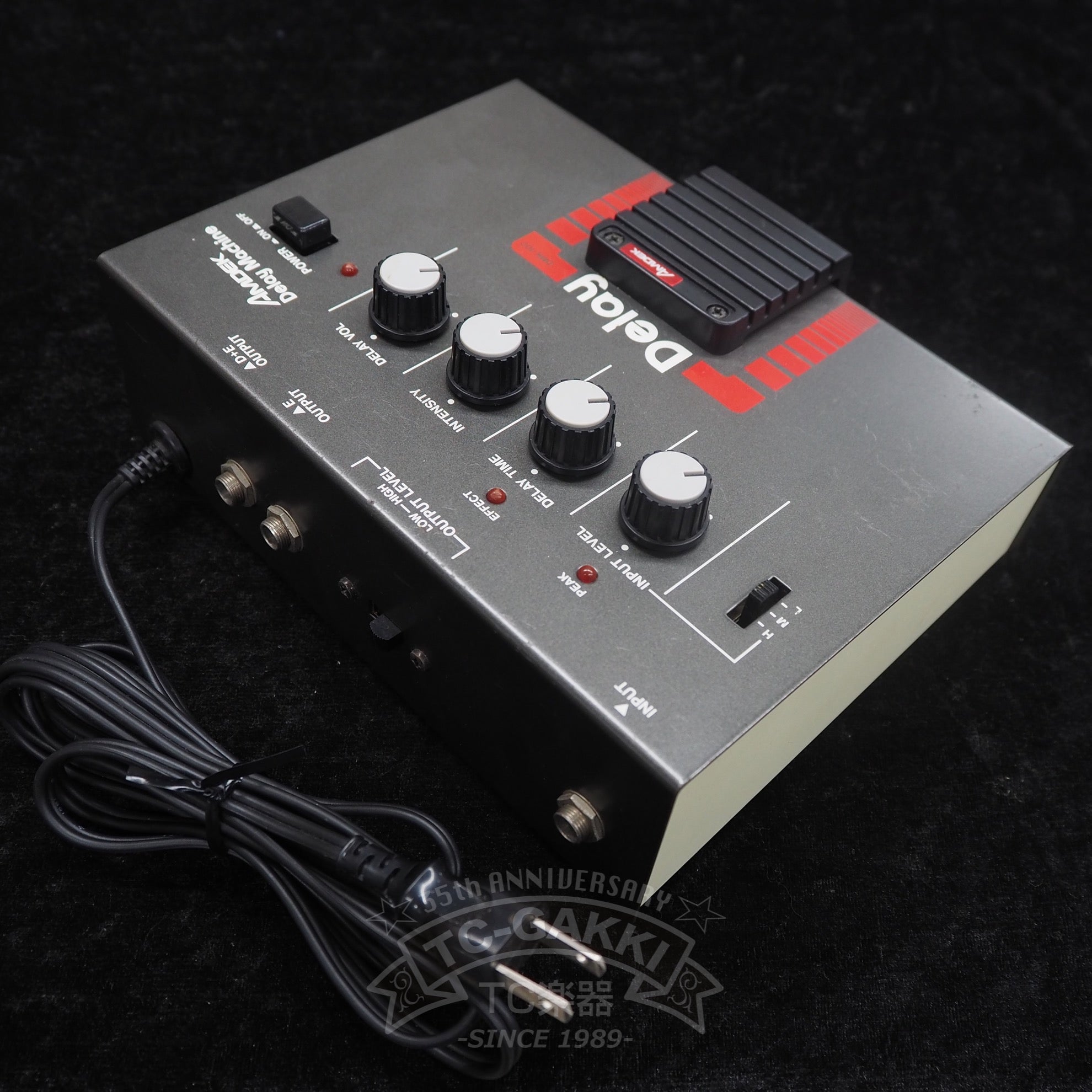 DMK - 100 Delay Machine - TC楽器 - TCGAKKI