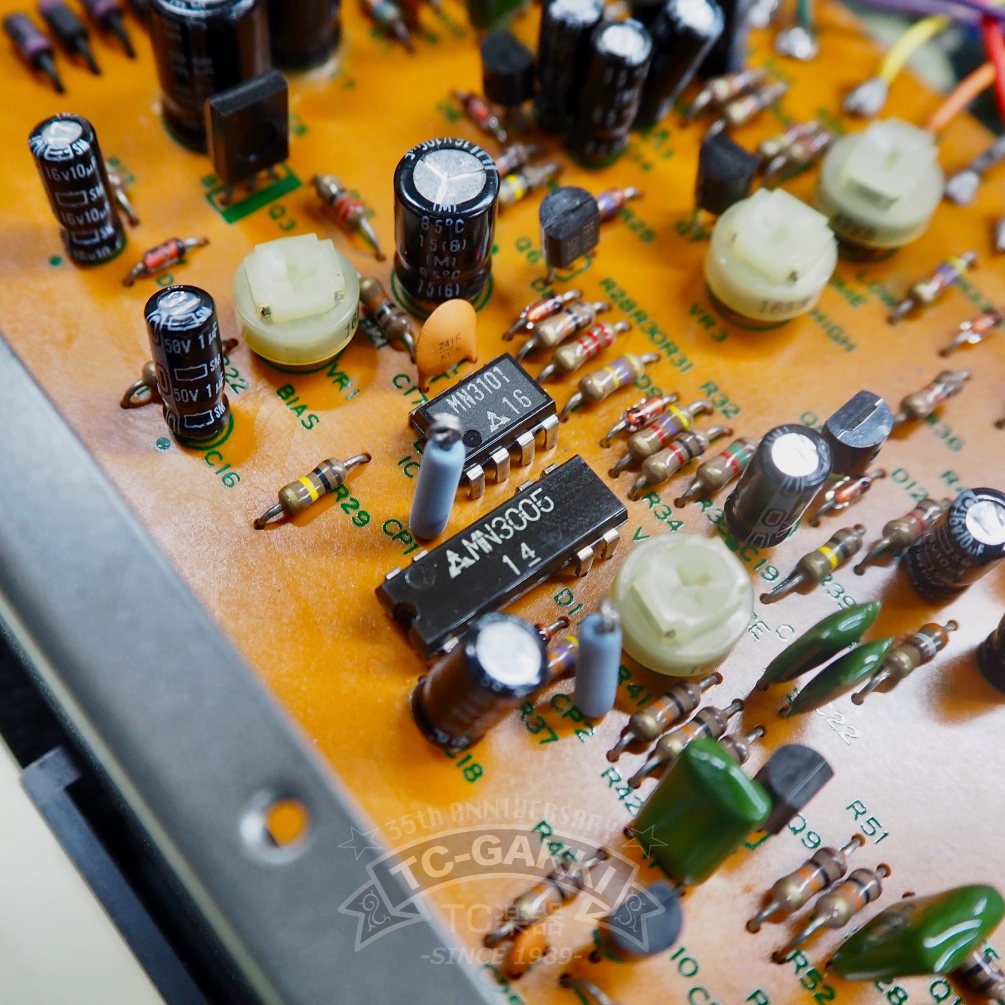 DMK - 100 Delay Machine - TC楽器 - TCGAKKI