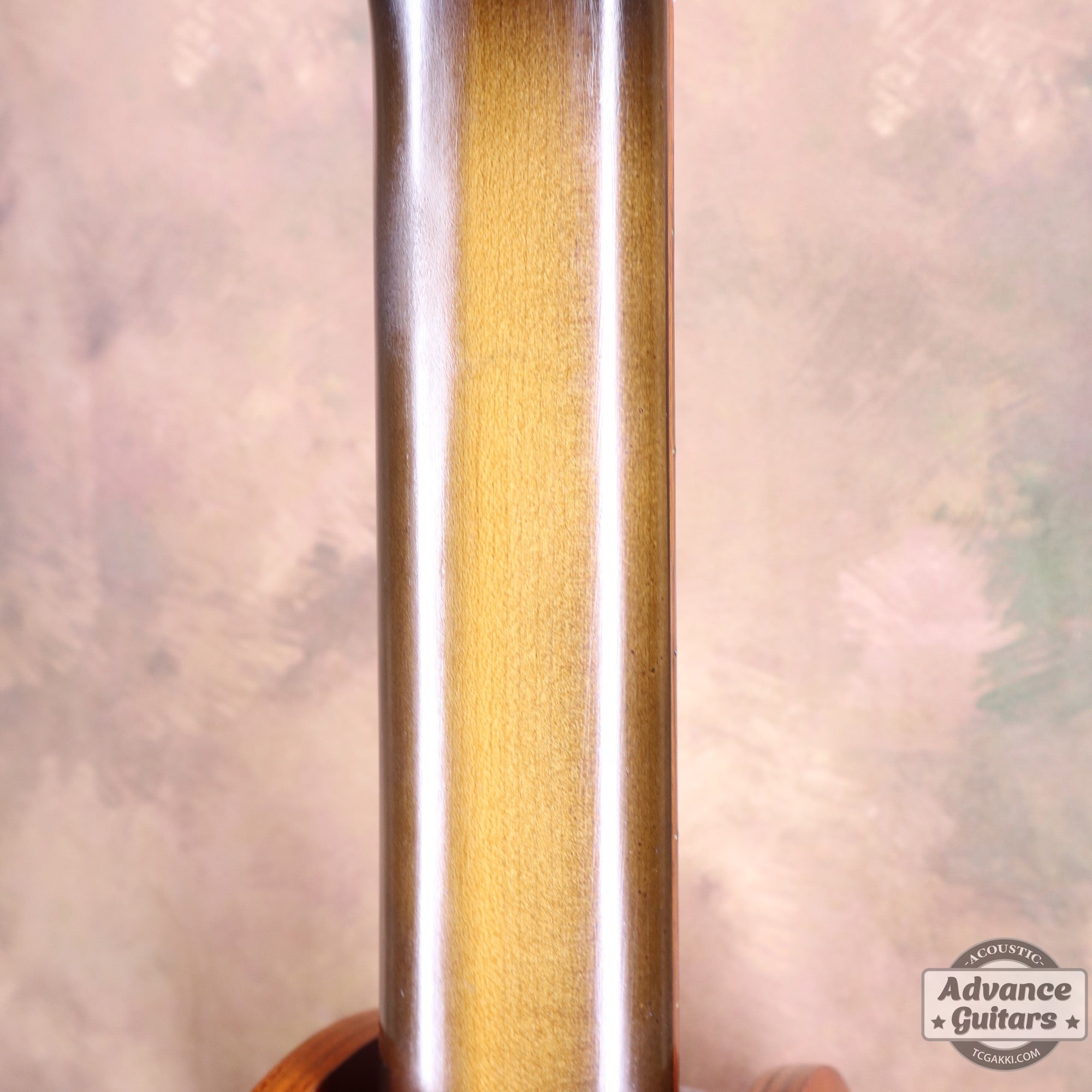 Dobro Duolian Resophonic - TC楽器 - TCGAKKI