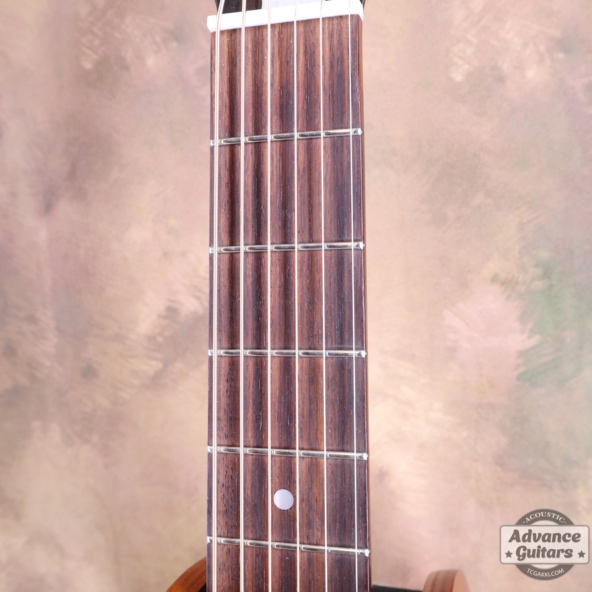 Dobro Duolian Resophonic - TC楽器 - TCGAKKI