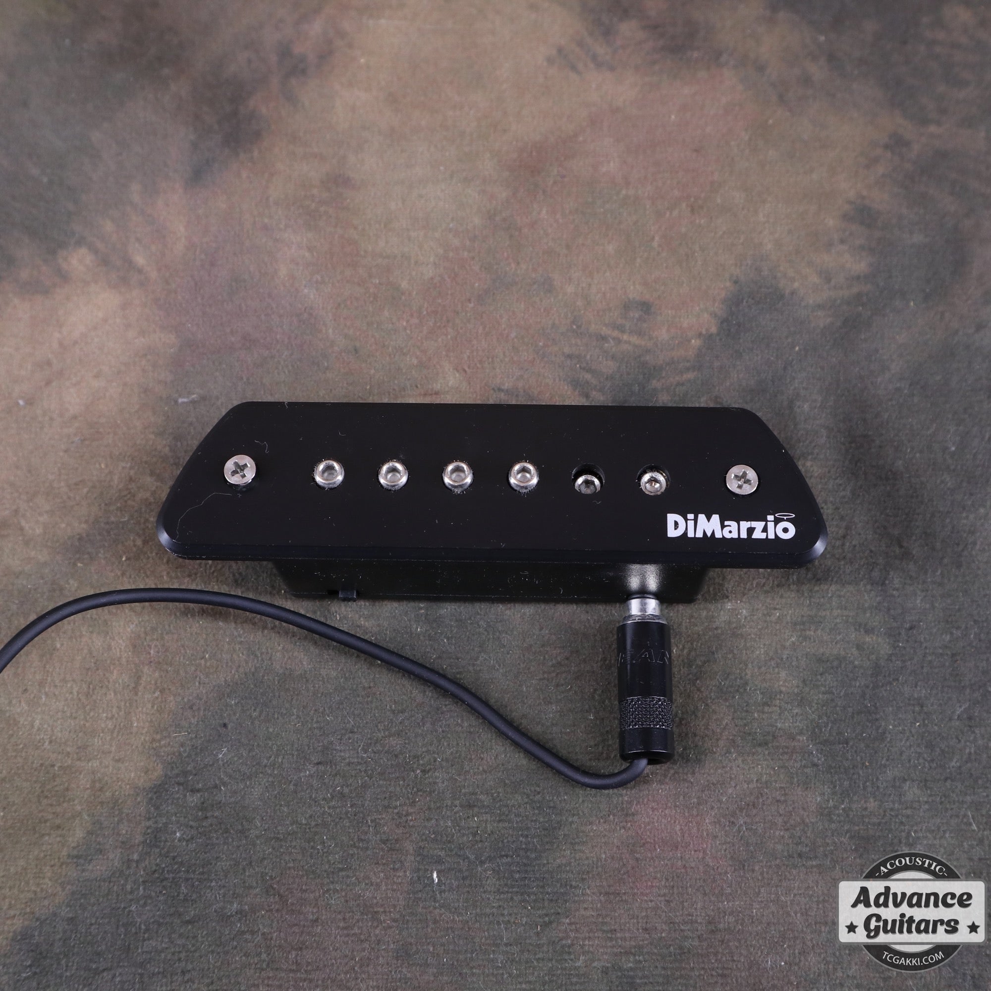 DP234 The Black Angel - TC楽器 - TCGAKKI