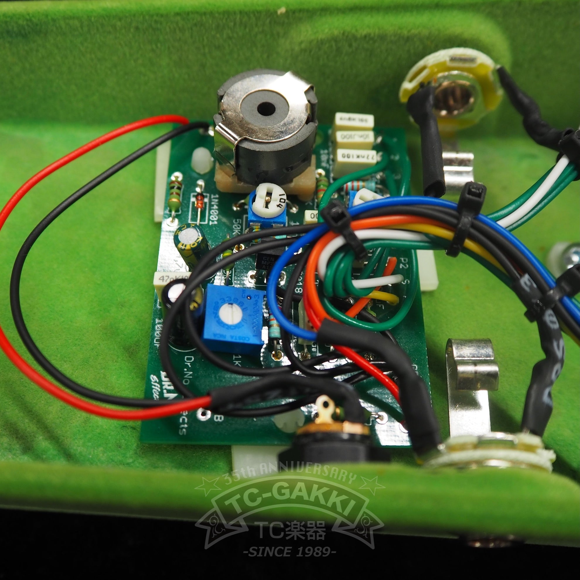 DR.NO Effects Holy Wahcamoly (Wah Wah Pedal) "10th Anniversary Reissue" - TC楽器 - TCGAKKI