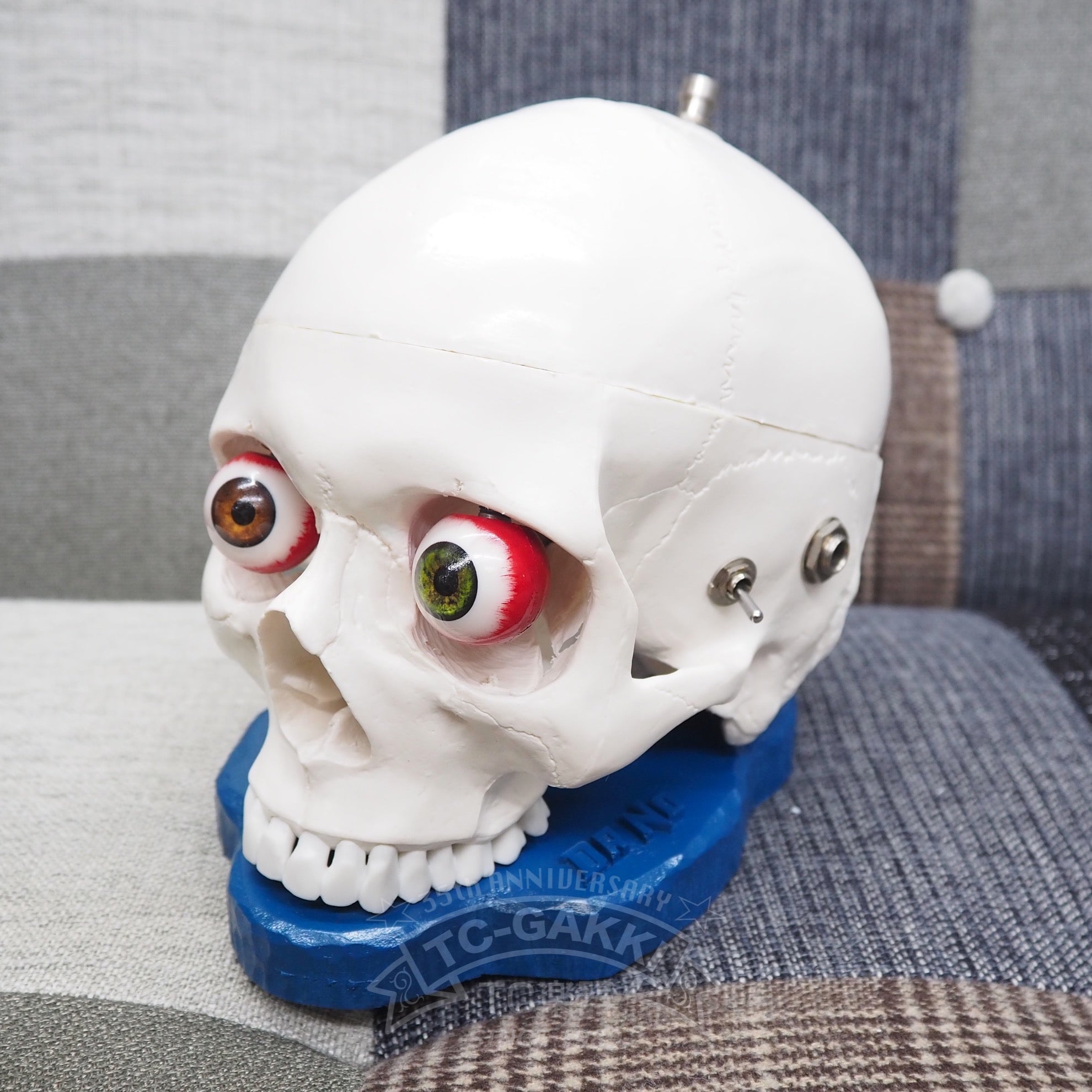 DR.NO effects Skull Fuzz “Original” - TC楽器 - TCGAKKI