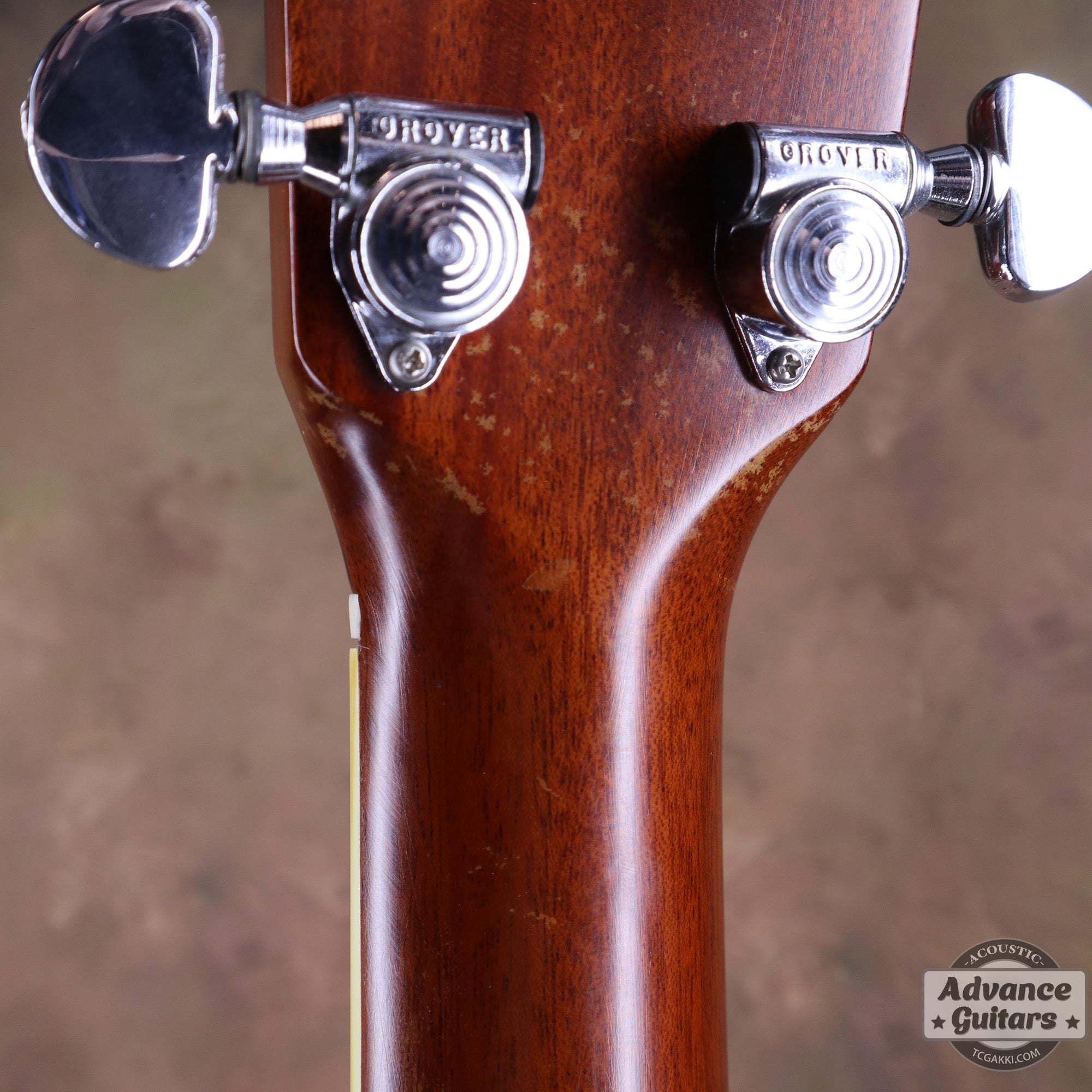 DY - 35 - TC楽器 - TCGAKKI