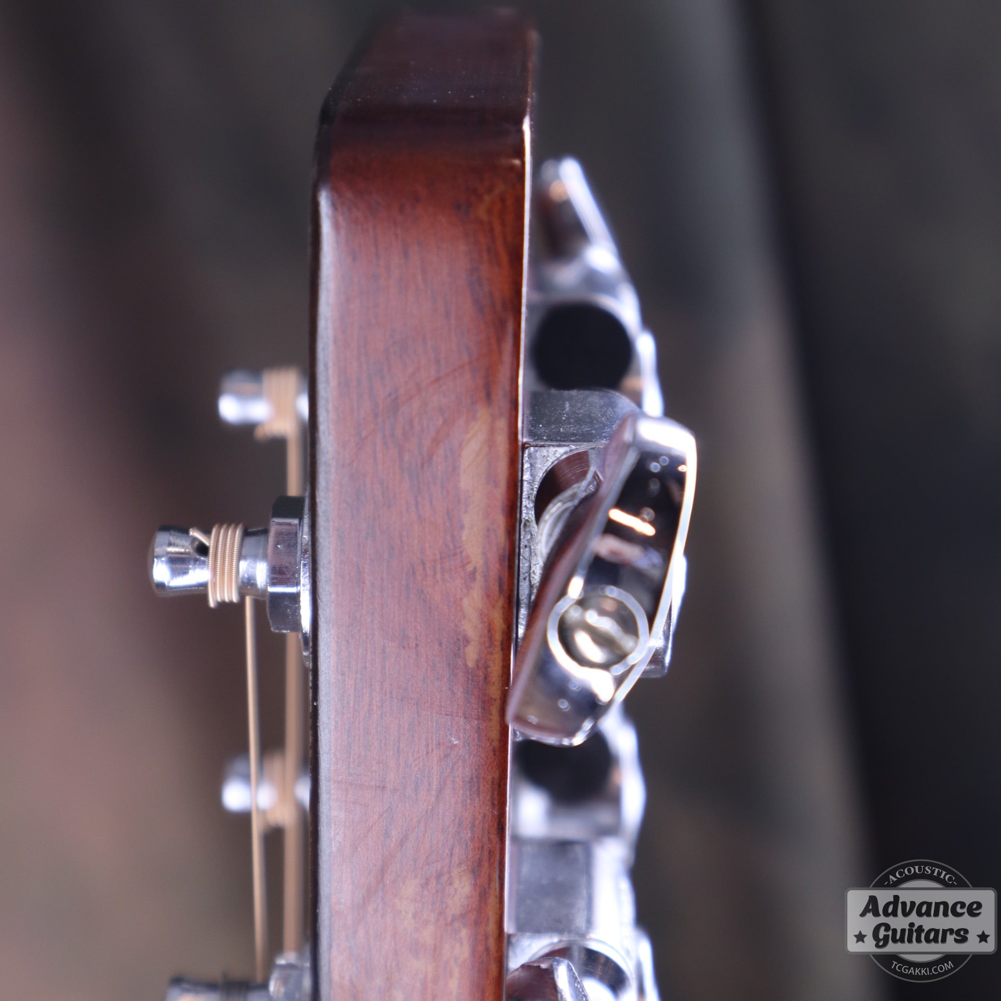 DY - 35 - TC楽器 - TCGAKKI