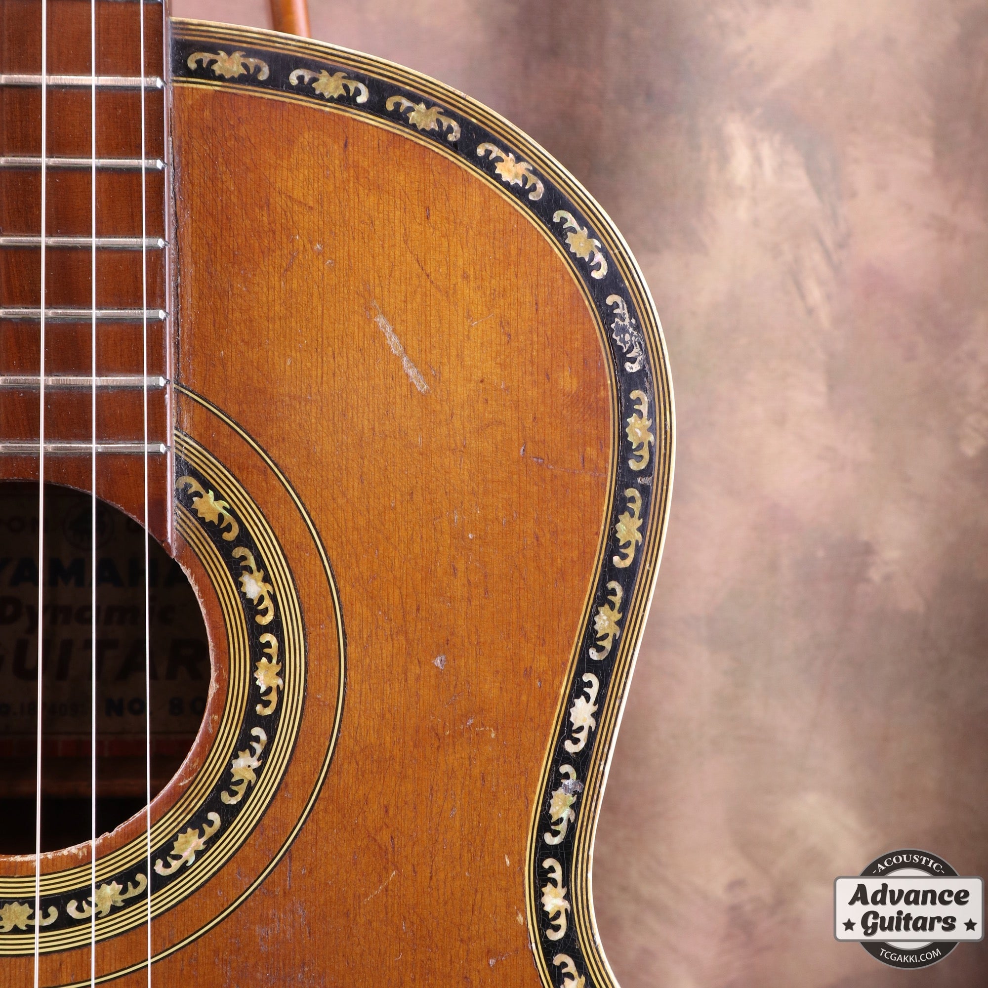 Dynamic Guitar No.80 - TC楽器 - TCGAKKI