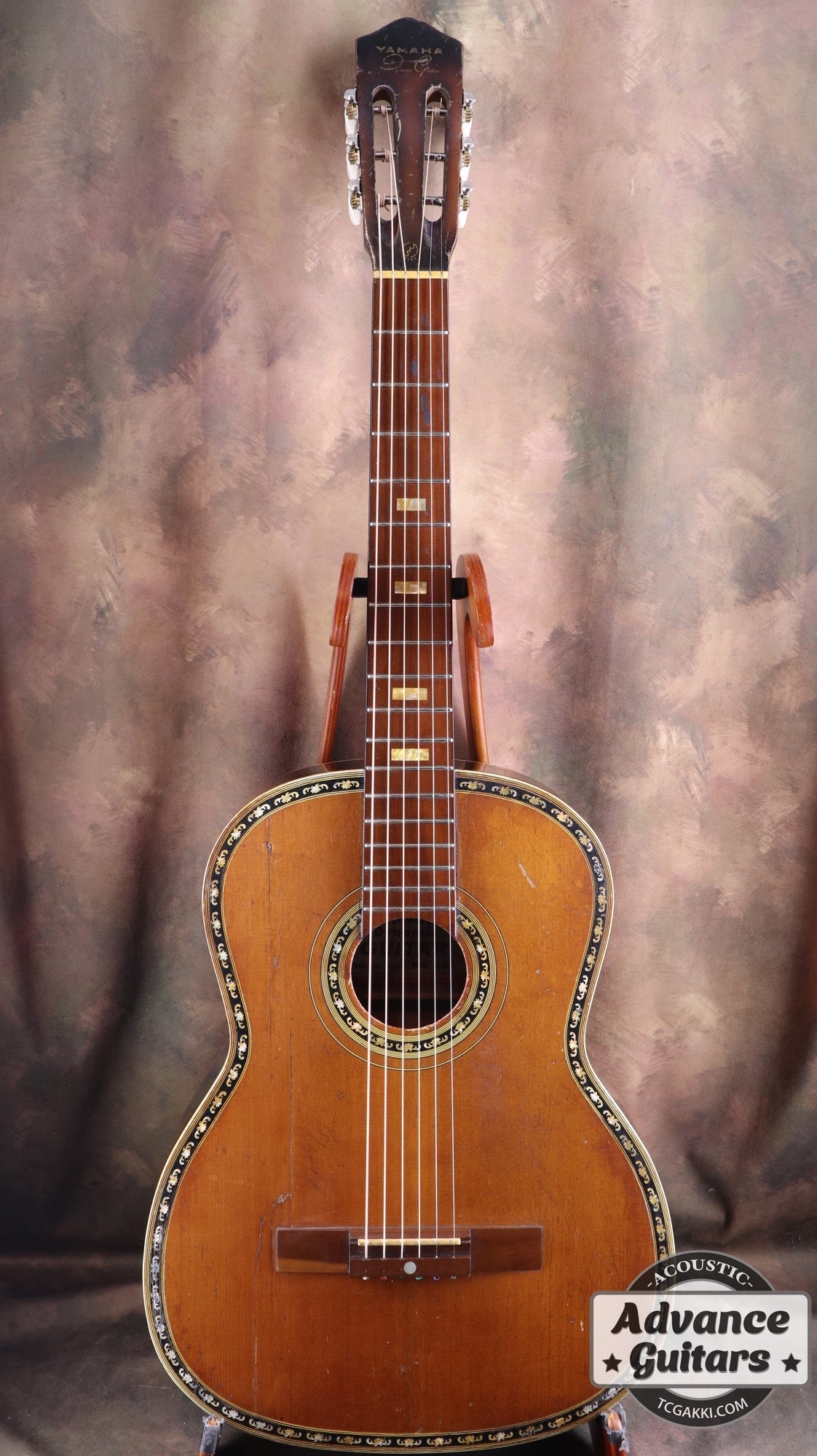 Dynamic Guitar No.80 - TC楽器 - TCGAKKI