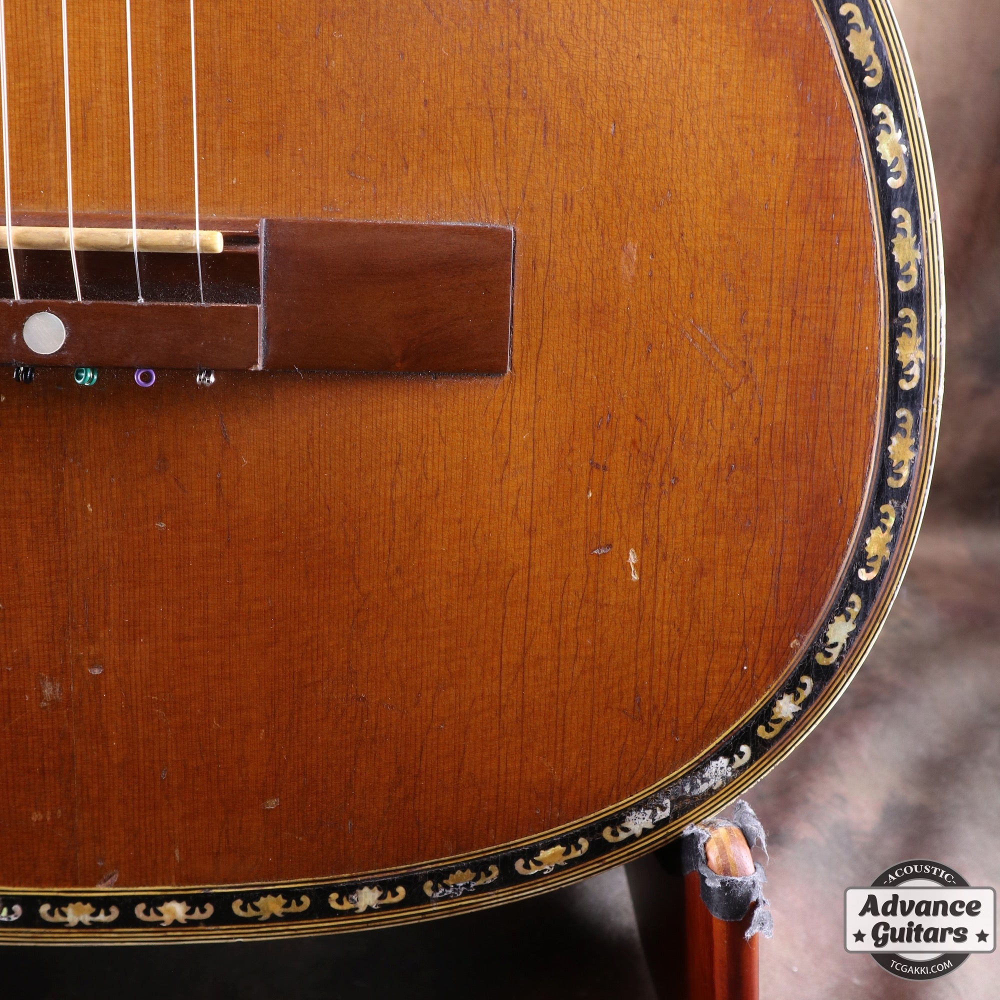 Dynamic Guitar No.80 - TC楽器 - TCGAKKI