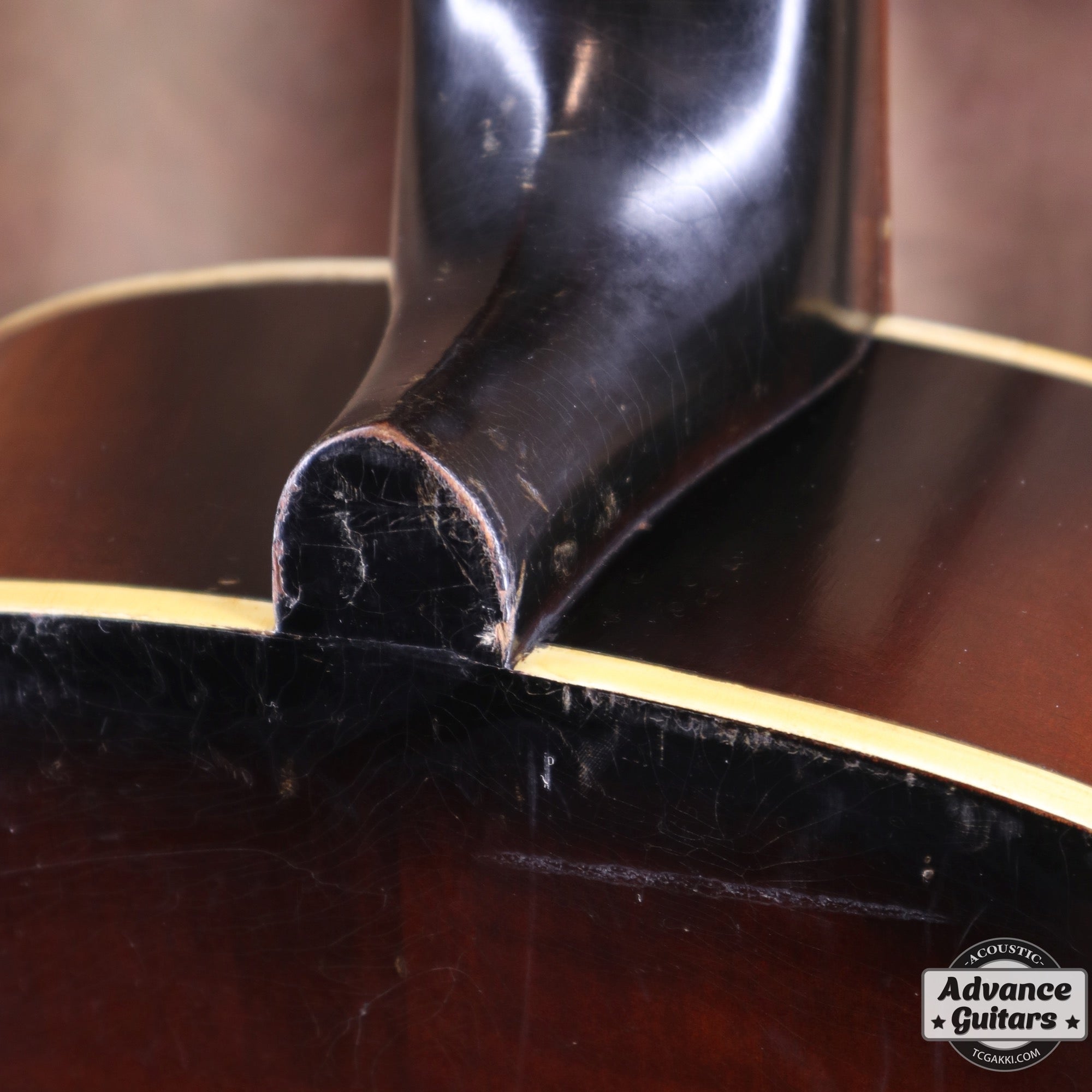 Dynamic Guitar No.80 - TC楽器 - TCGAKKI