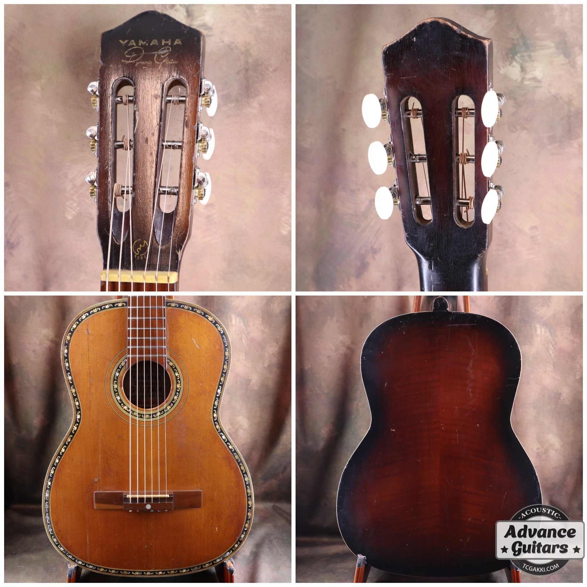 Dynamic Guitar No.80 - TC楽器 - TCGAKKI