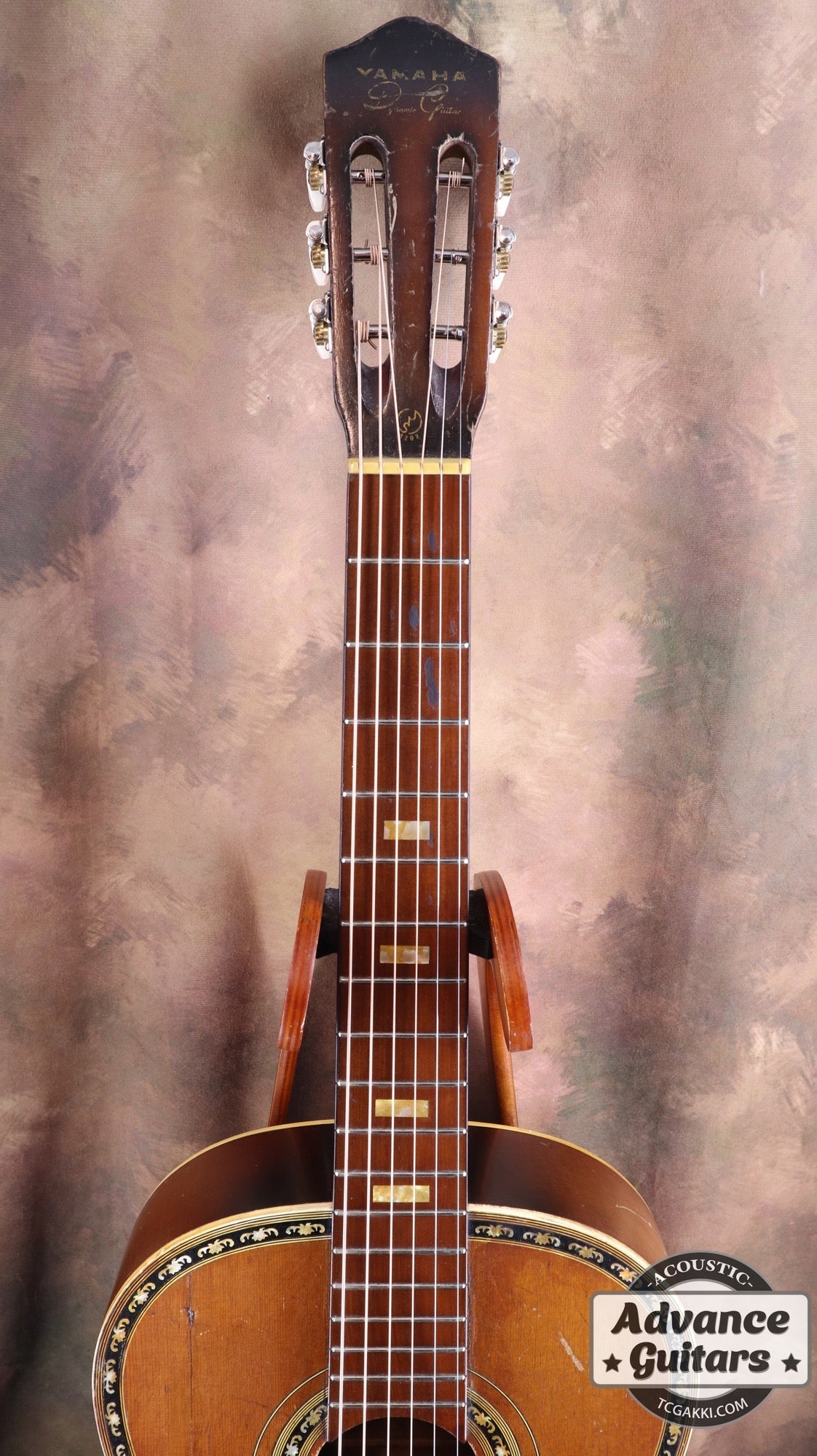 Dynamic Guitar No.80 - TC楽器 - TCGAKKI