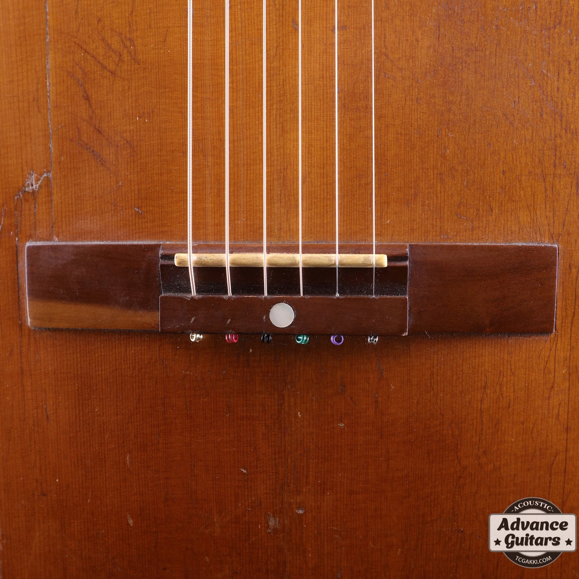 Dynamic Guitar No.80 - TC楽器 - TCGAKKI