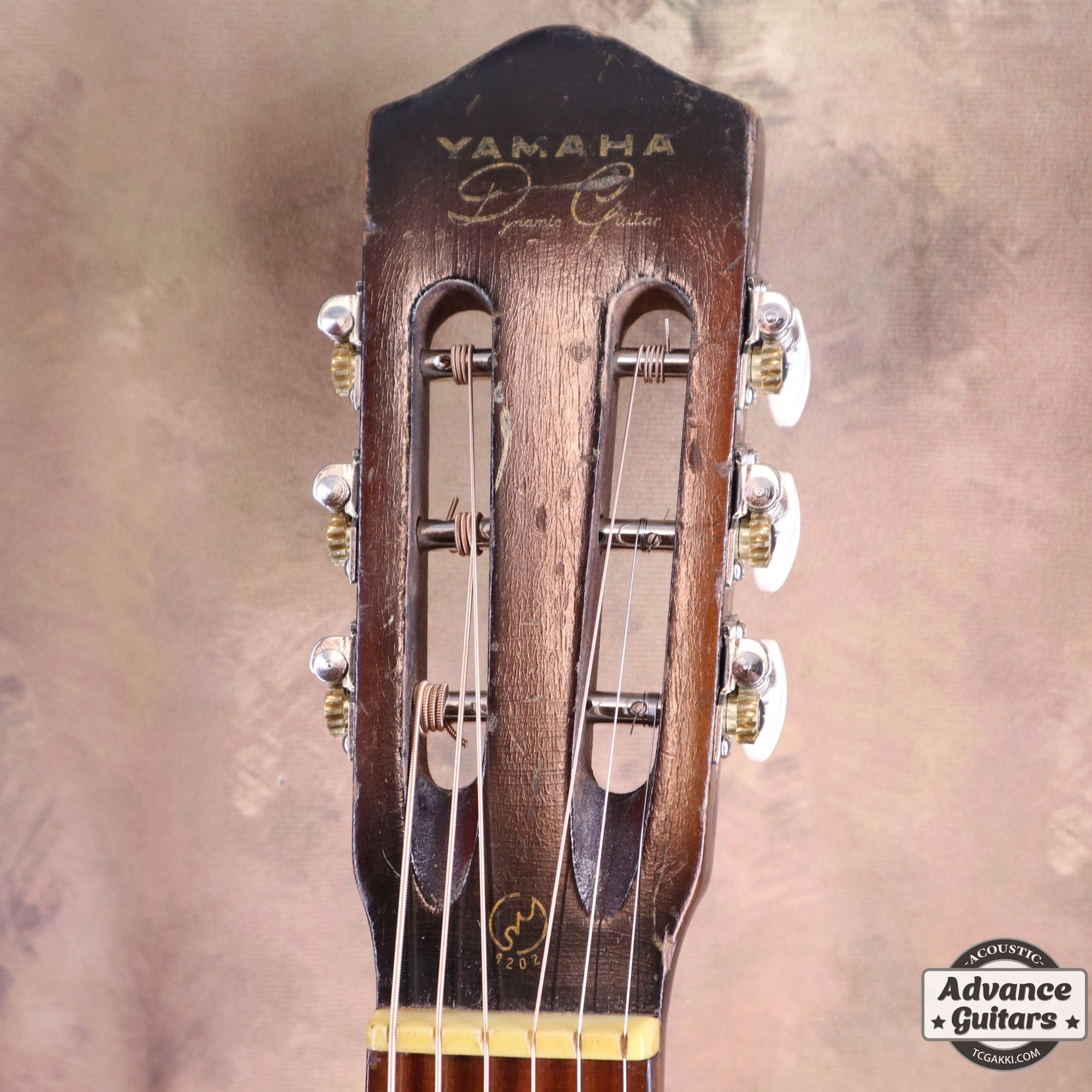 Dynamic Guitar No.80