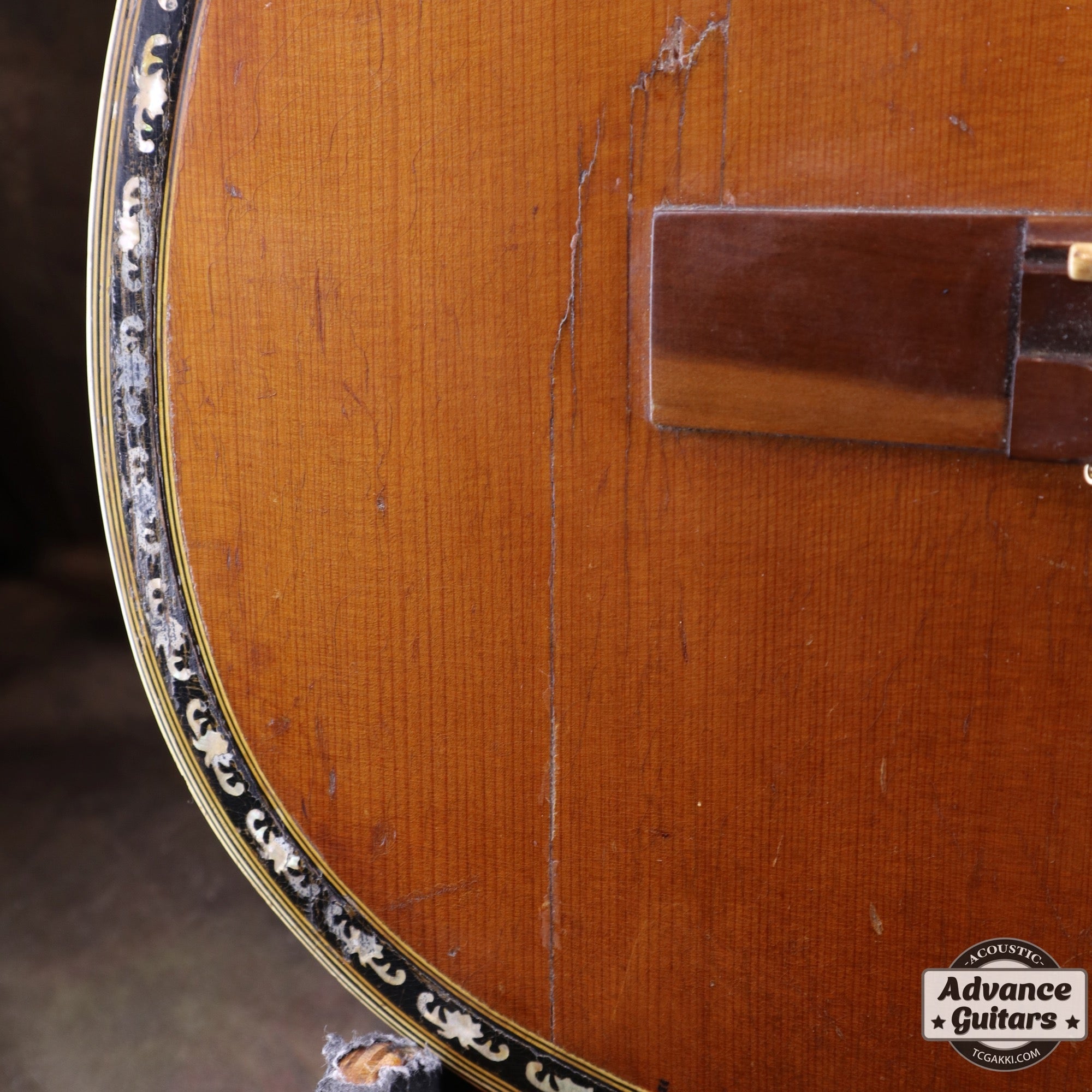 Dynamic Guitar No.80 - TC楽器 - TCGAKKI