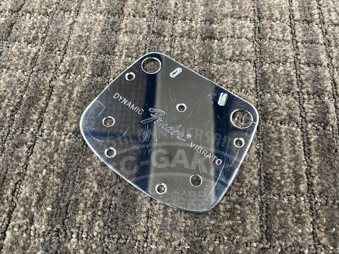Dynamic Vibrato Bridge Plate - TC楽器 - TCGAKKI