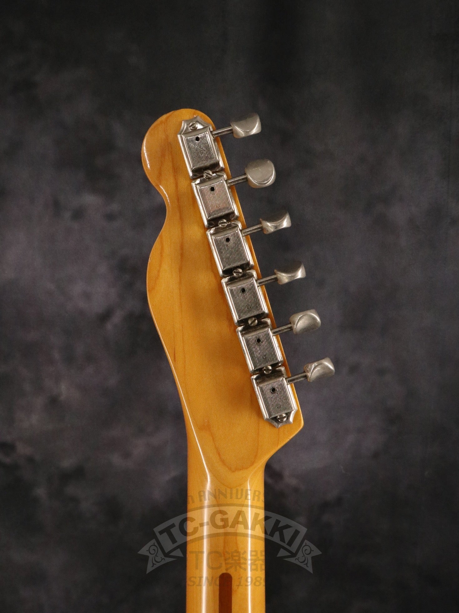 Early 1980s American Vintage 52 Telecaster - TC楽器 - TCGAKKI