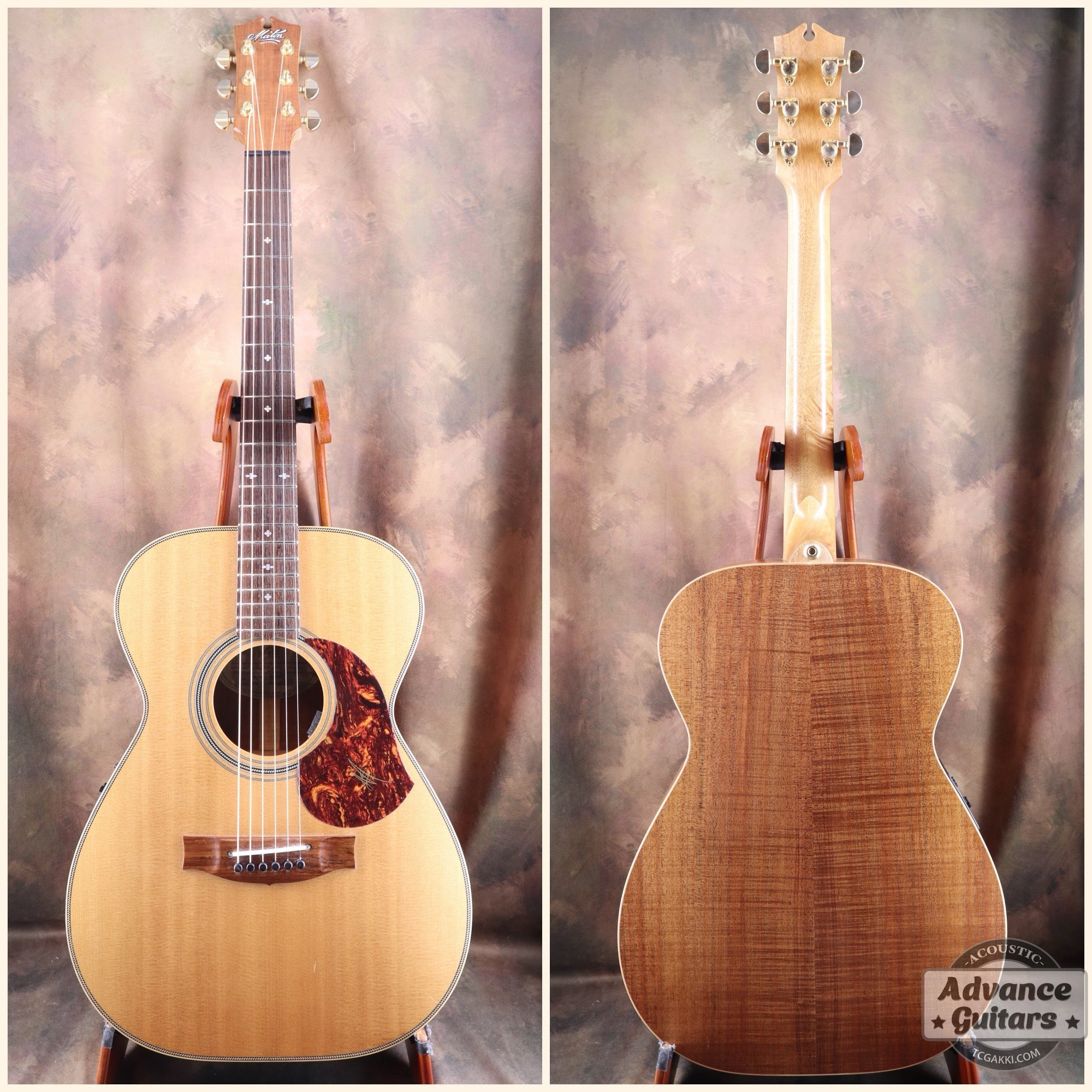 EBG808 ARTIST - TC楽器 - TCGAKKI