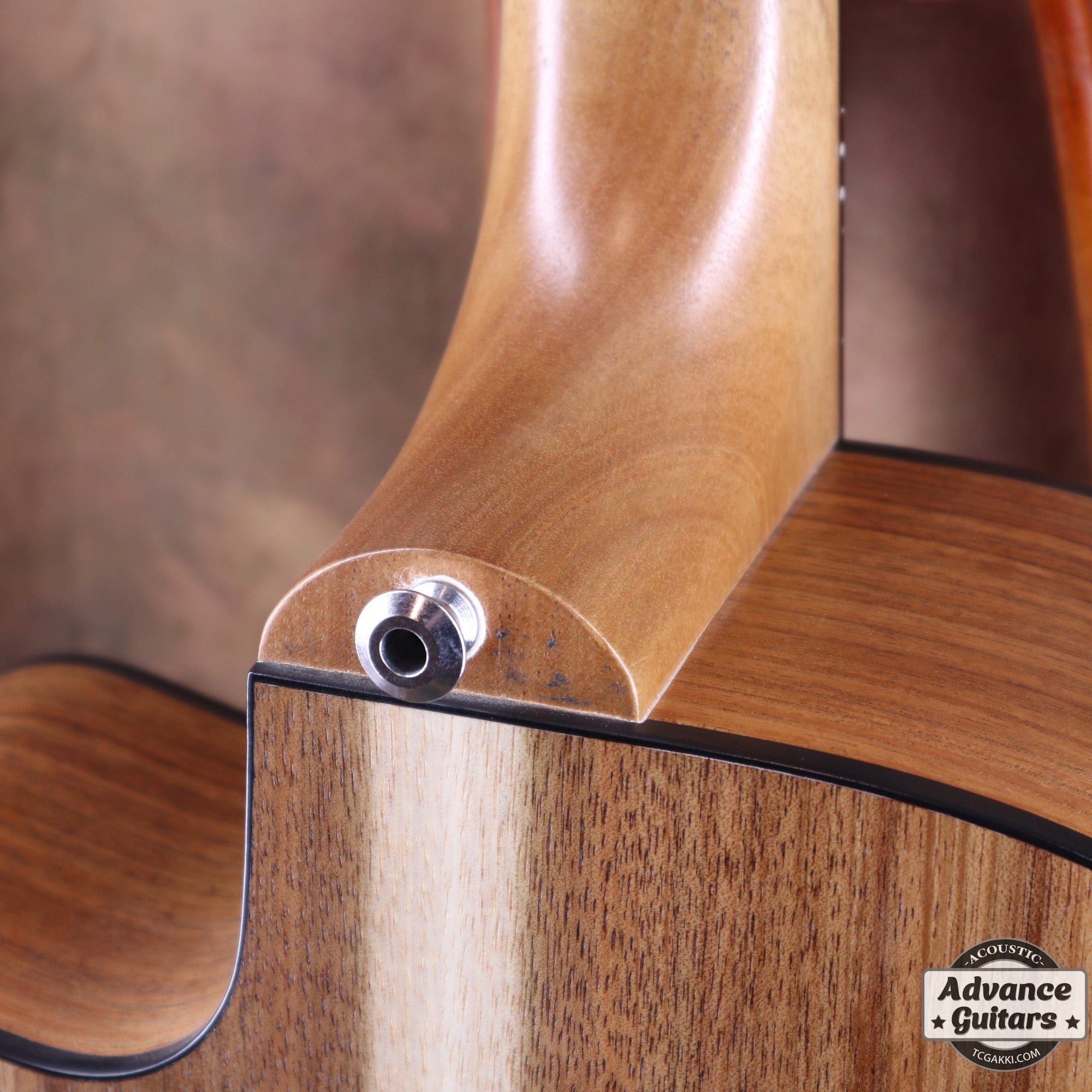 EBW808C Blackwood - TC楽器 - TCGAKKI