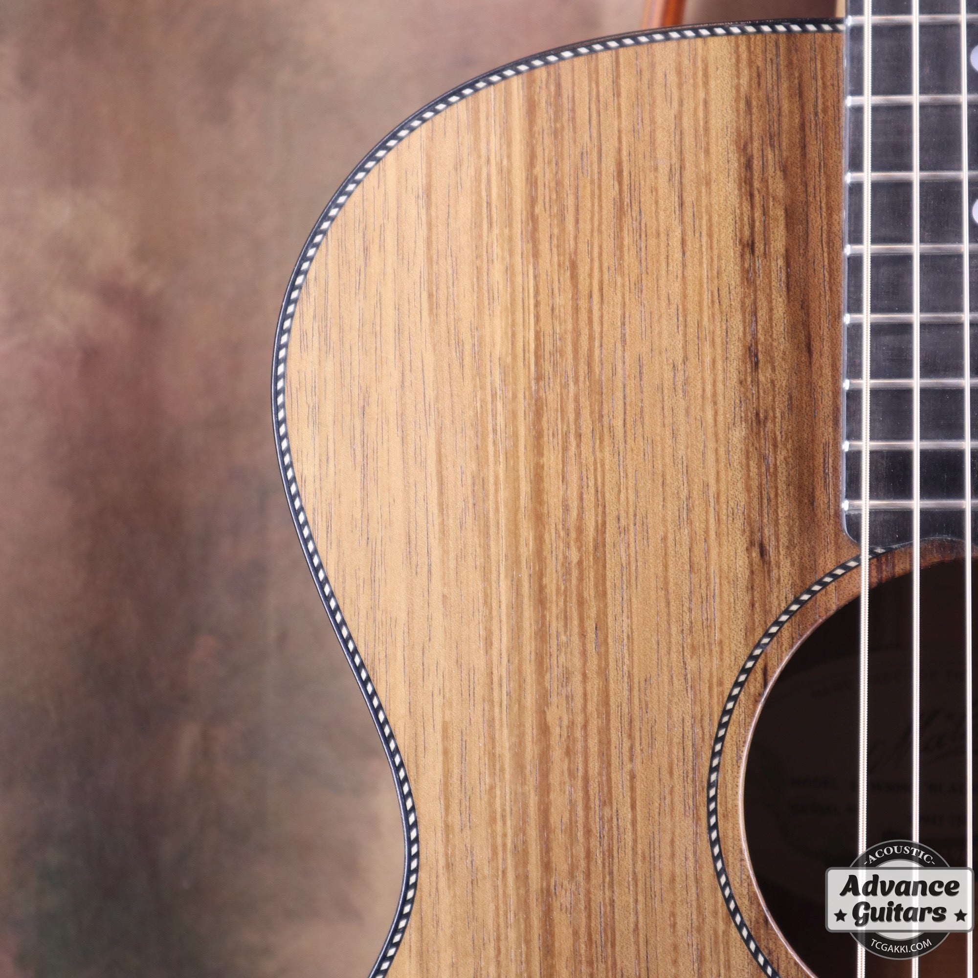 EBW808C Blackwood - TC楽器 - TCGAKKI