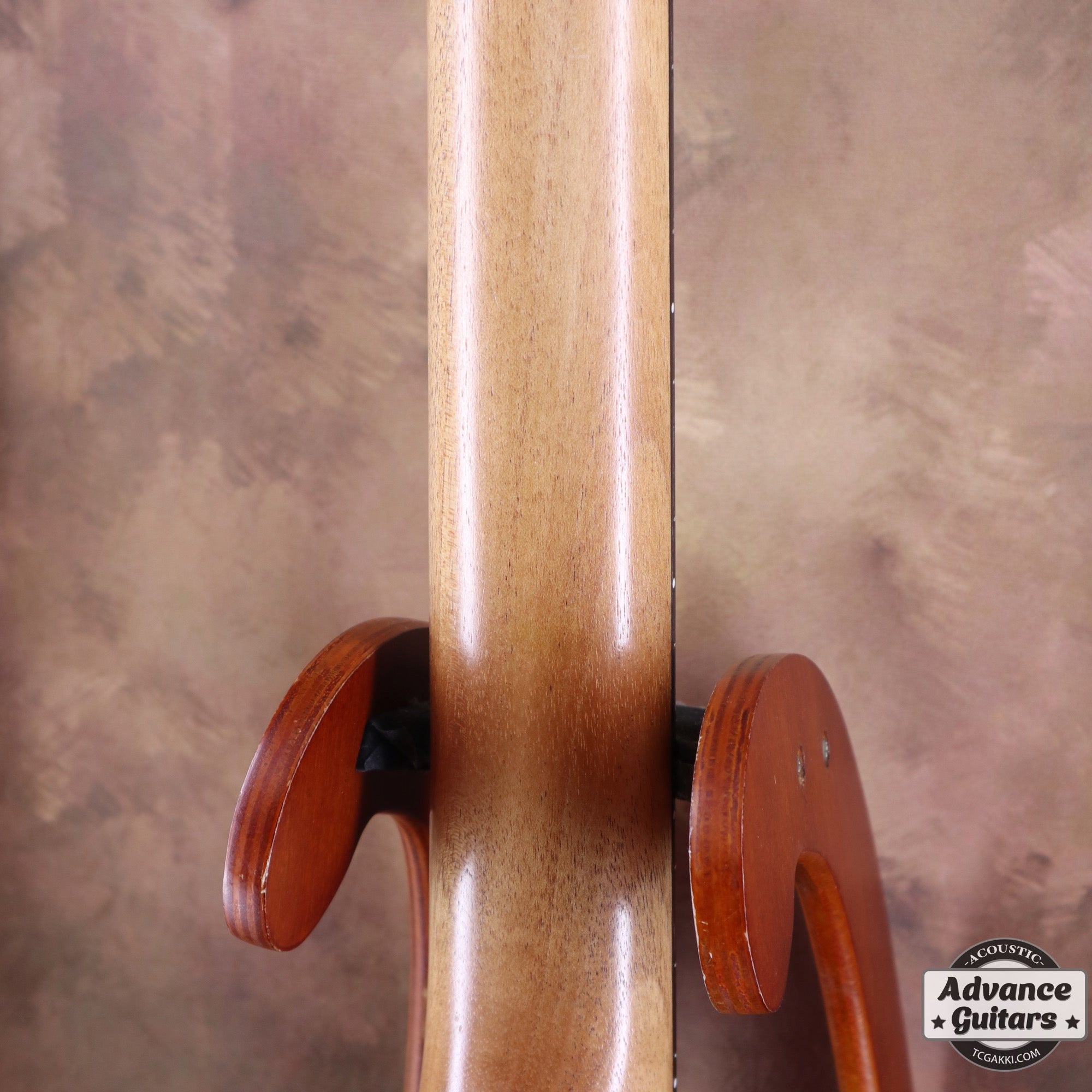 EBW808C Blackwood - TC楽器 - TCGAKKI