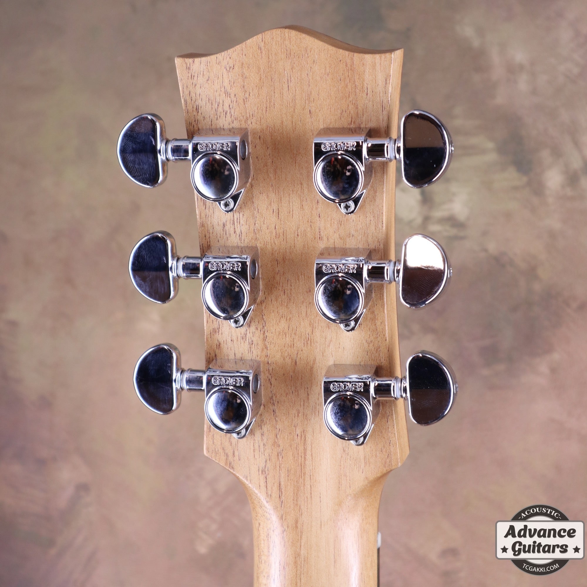 EBW808C Blackwood - TC楽器 - TCGAKKI