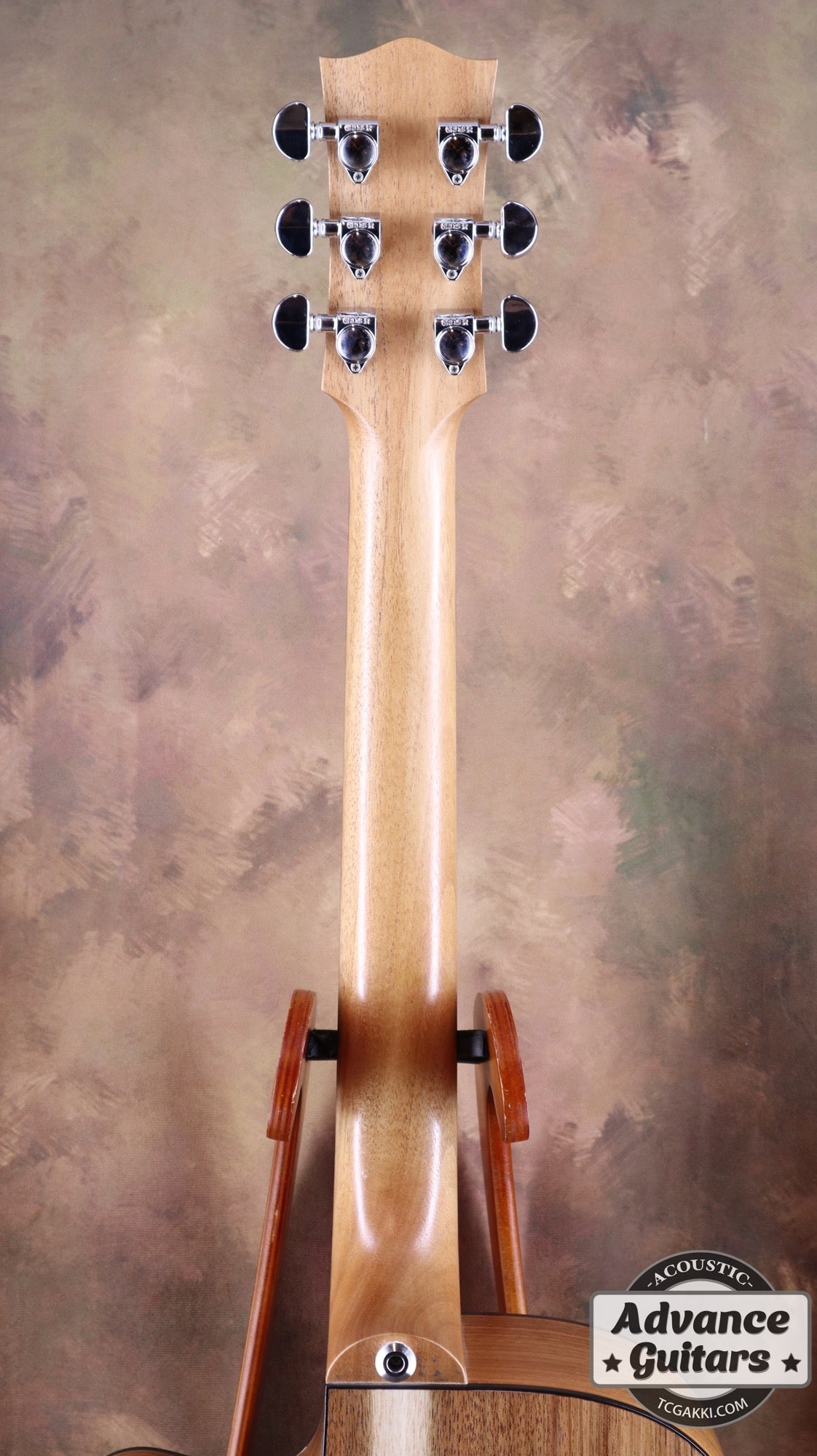 EBW808C Blackwood - TC楽器 - TCGAKKI