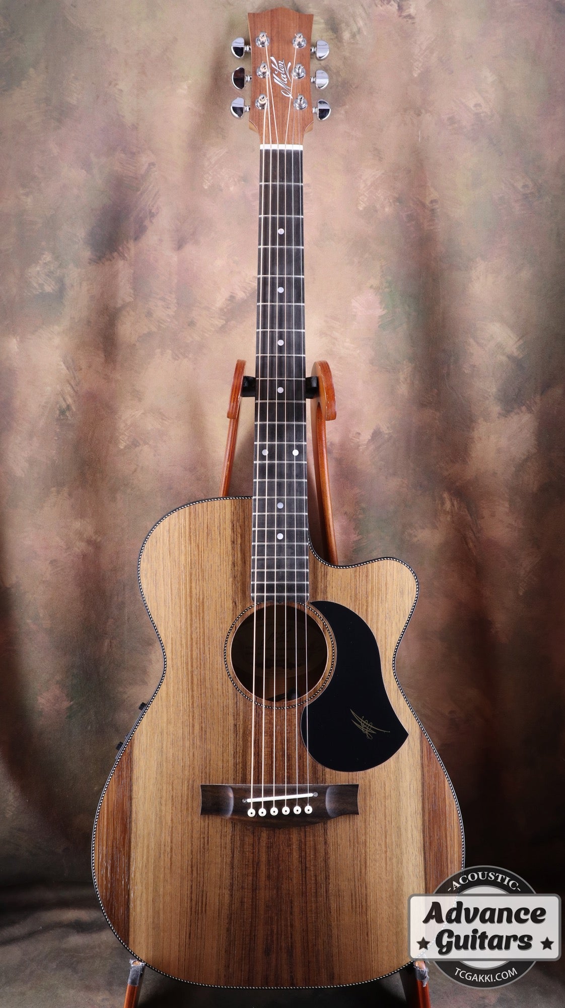 Maton メイトン EBW808C 中古 EBW808C | Maton Guitars Japan