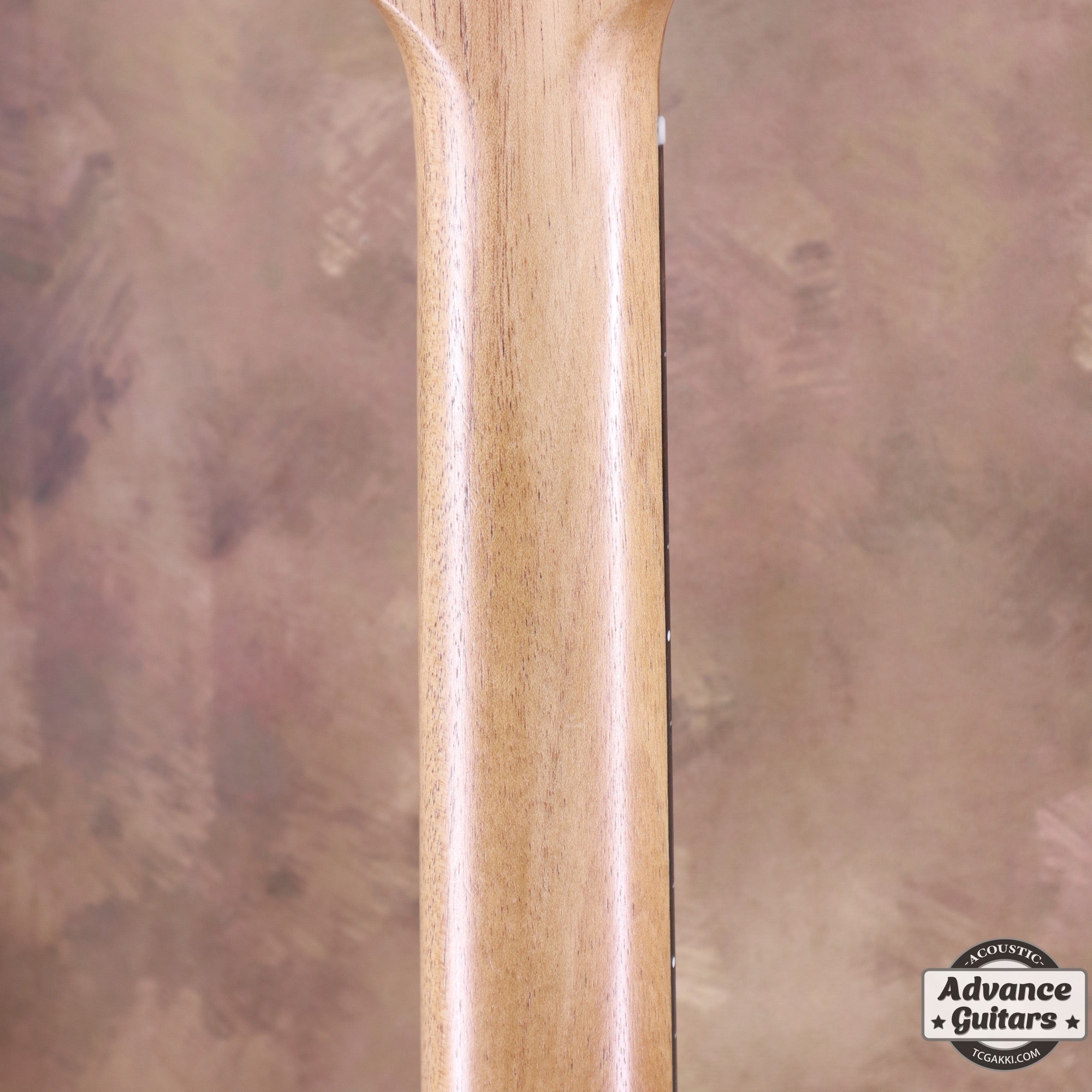 EBW808C Blackwood - TC楽器 - TCGAKKI