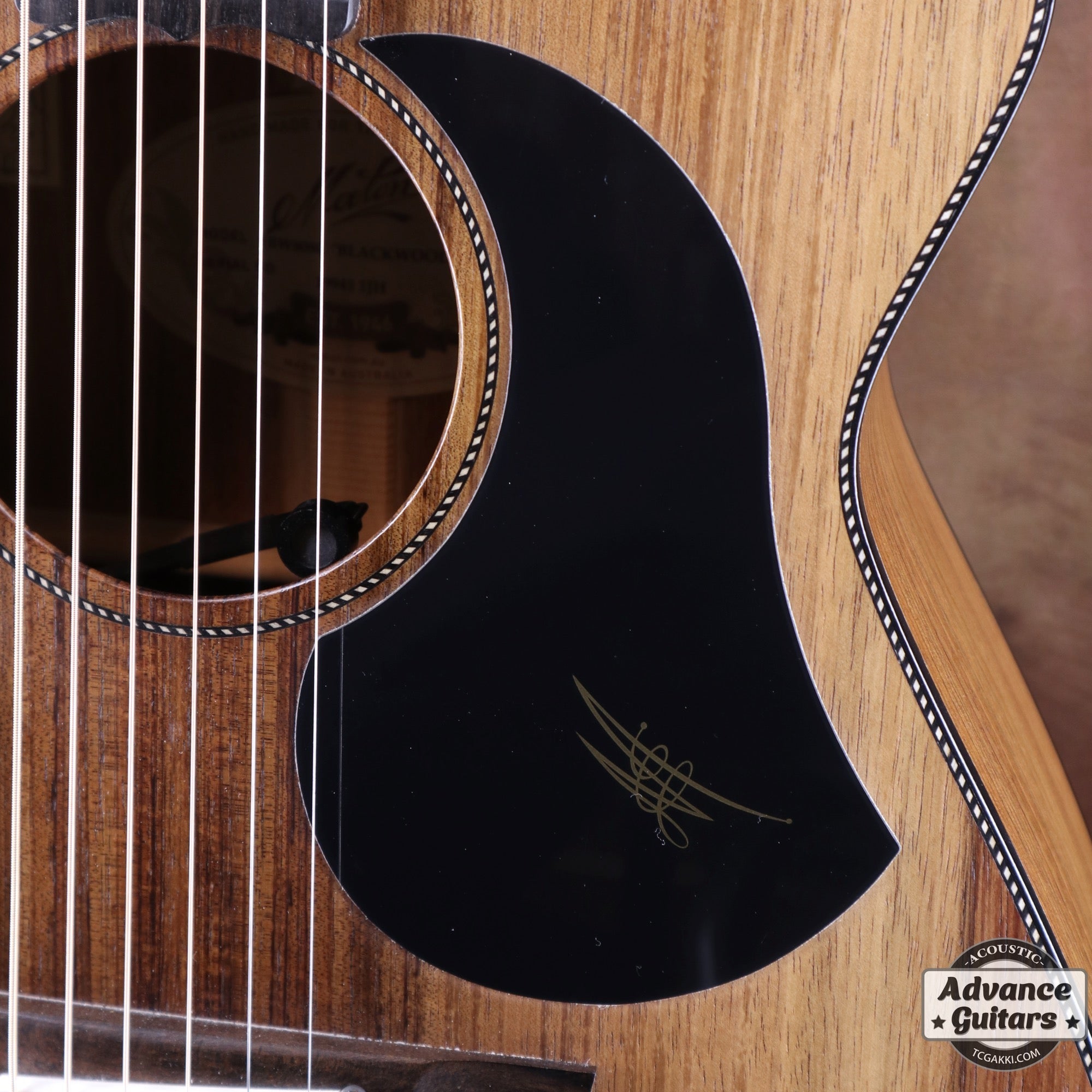 EBW808C Blackwood - TC楽器 - TCGAKKI