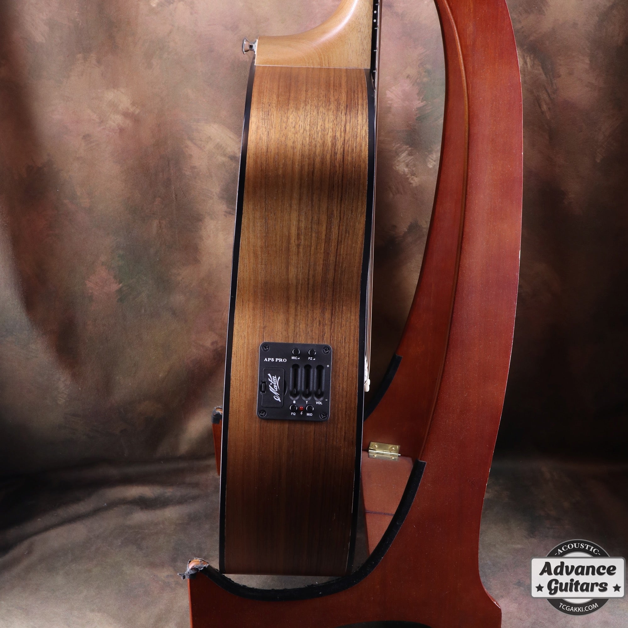 EBW808C Blackwood - TC楽器 - TCGAKKI