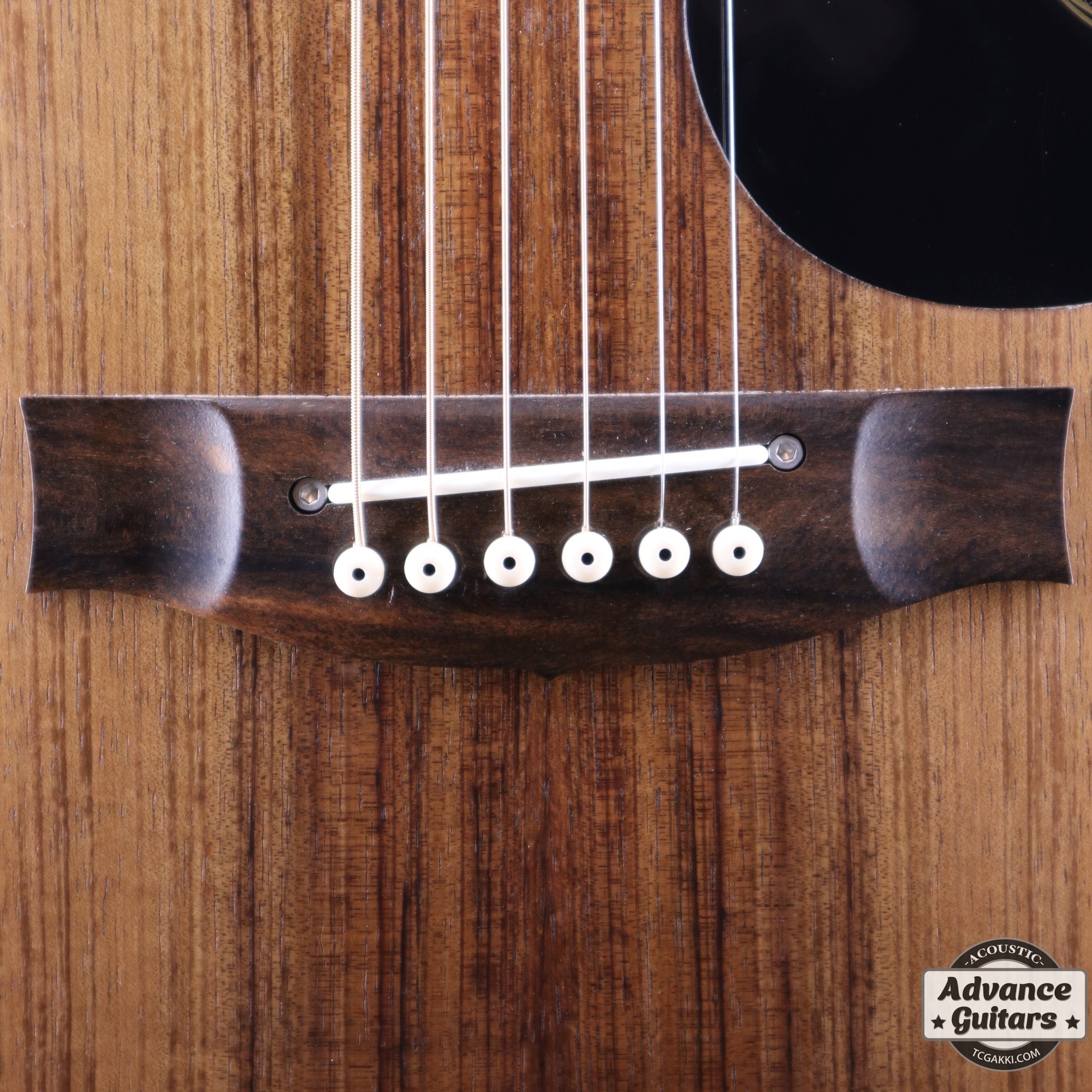 EBW808C Blackwood - TC楽器 - TCGAKKI