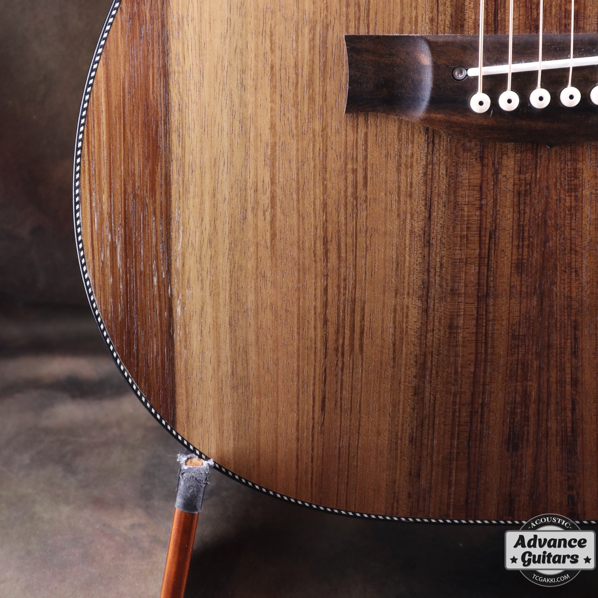 EBW808C Blackwood - TC楽器 - TCGAKKI