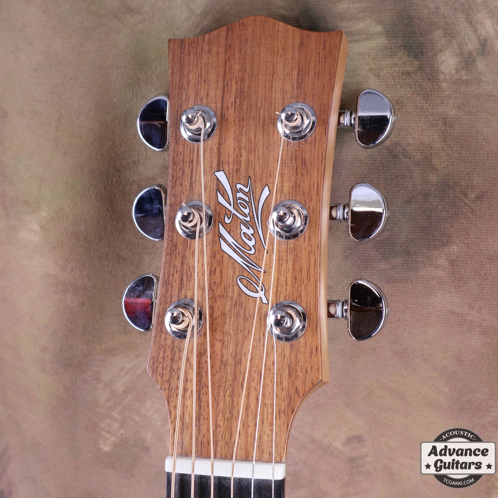 EBW808C Blackwood - TC楽器 - TCGAKKI