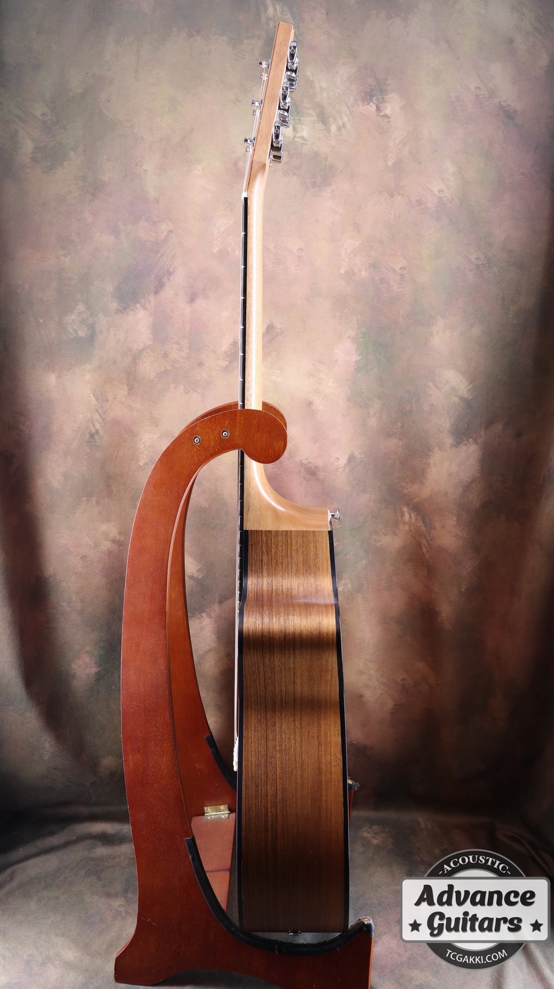 EBW808C Blackwood - TC楽器 - TCGAKKI